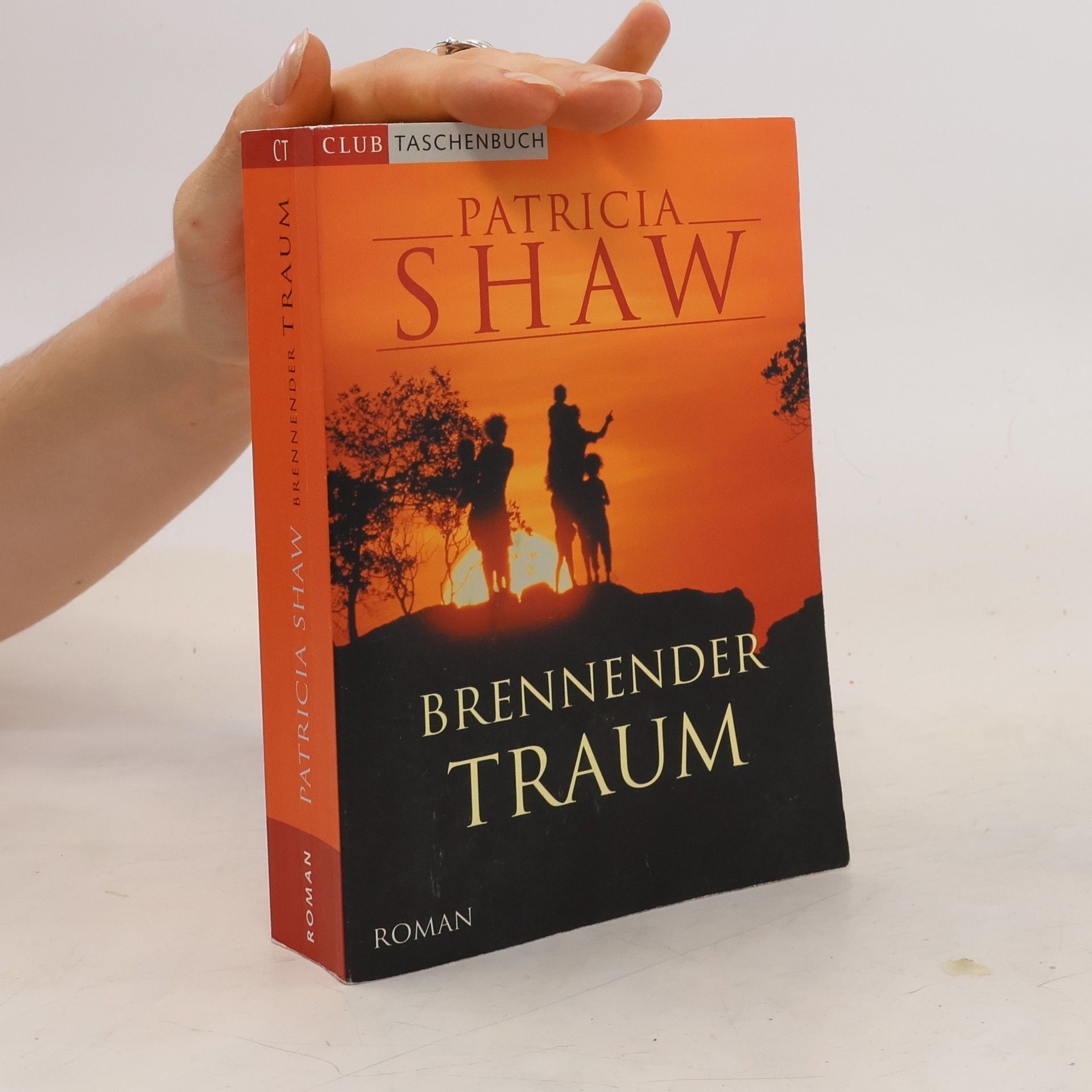 Patricia Shaw Brennender Traum