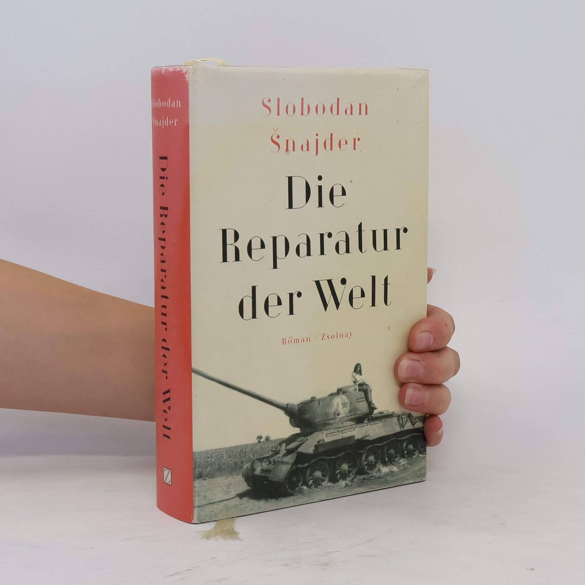 Slobodan Šnajder Die Reparatur der Welt