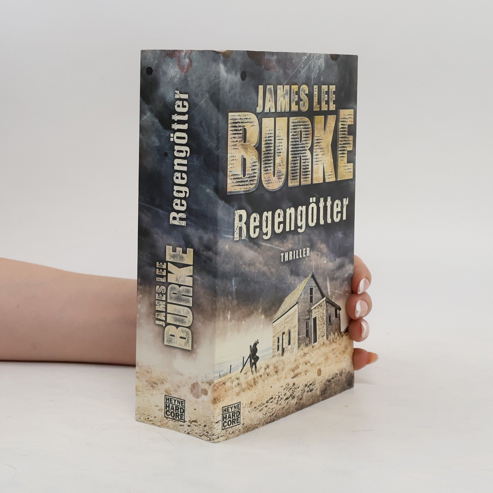 James Lee Burke Regengötter