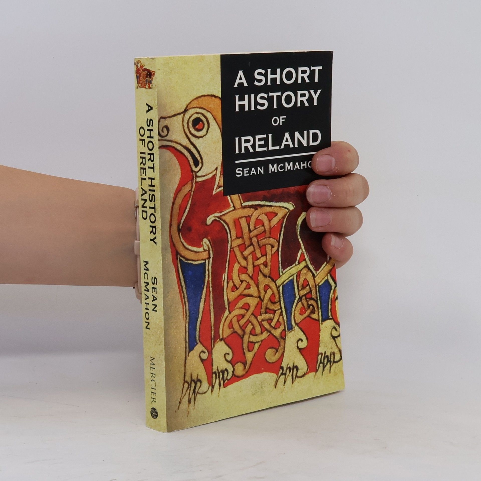 Seán McMahon A Short History of Ireland