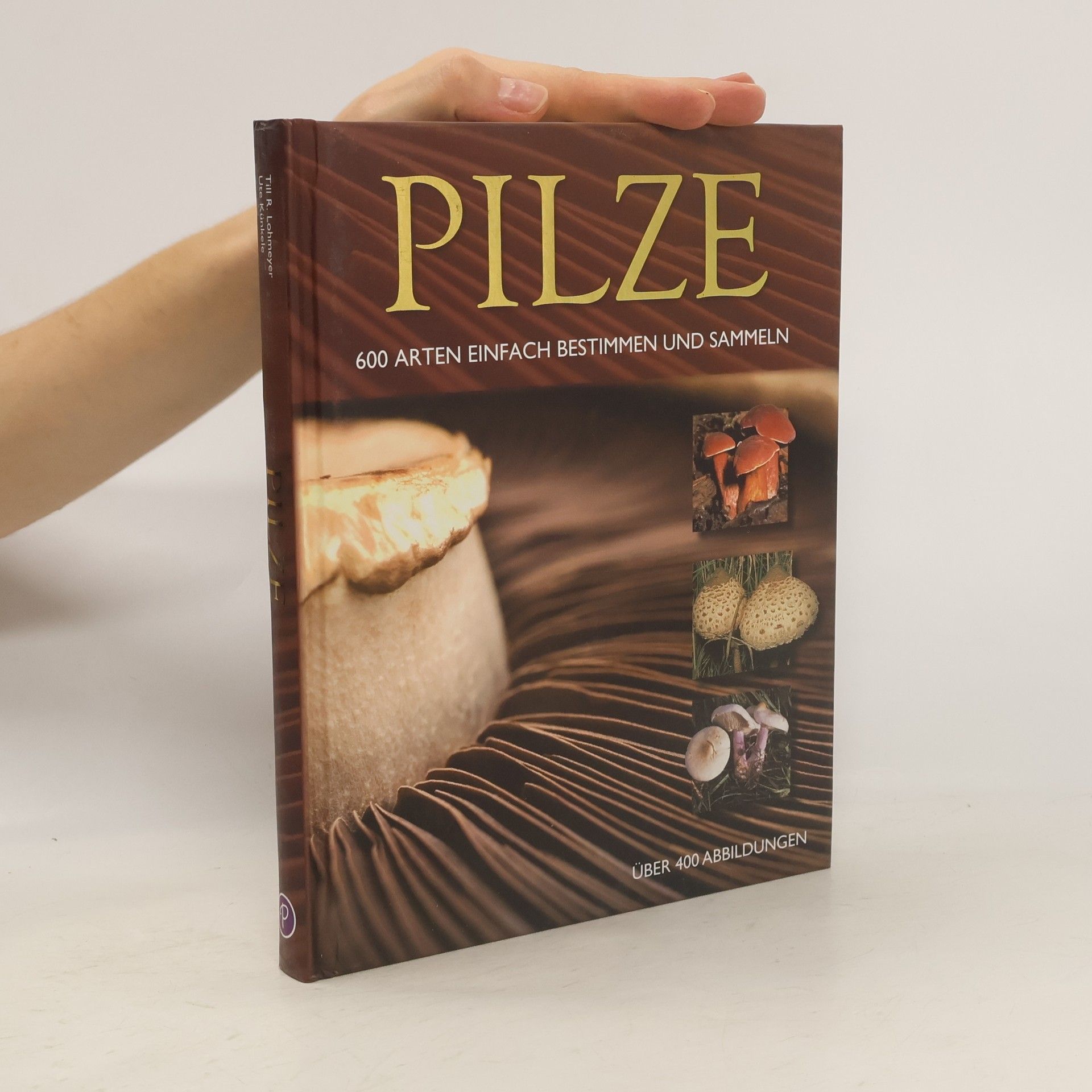 Autorenkollektiv Pilze