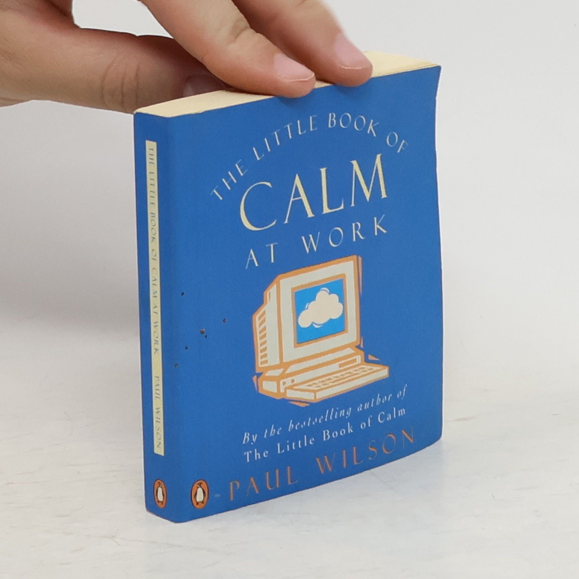 Paul Wilson The Little Book Of Calm At Work