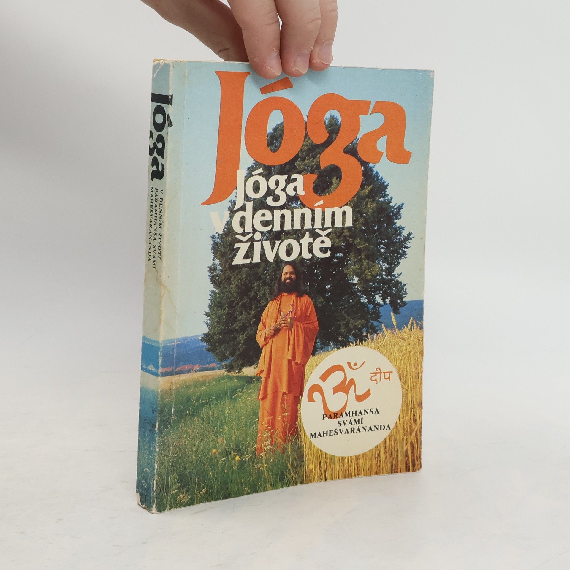 Autorenkollektiv Jóga v denním životě. Paramhansa svámí. Mahešvaránanda