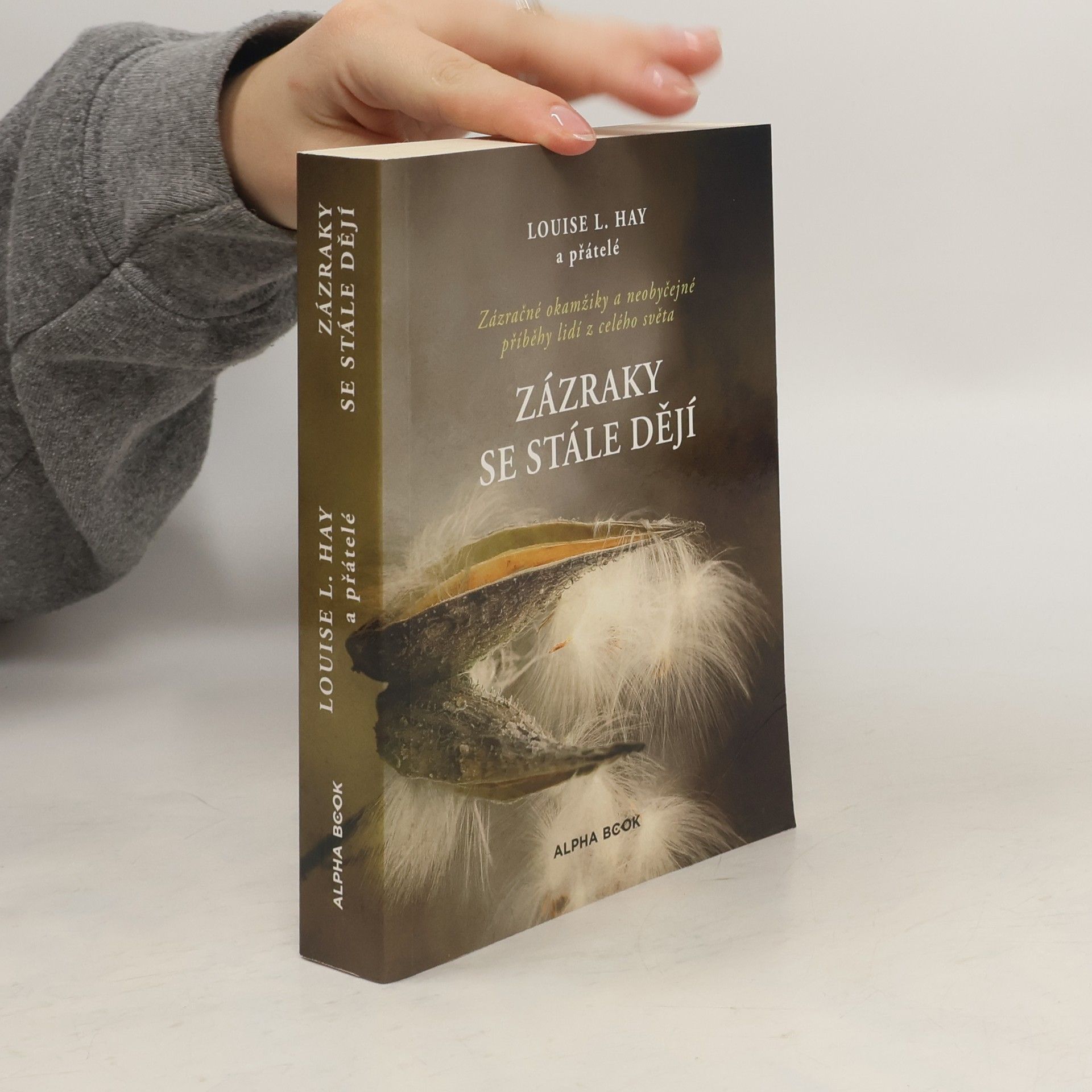 Louise Lynn Hay Zázraky se stále dějí : zázračné okamžiky a neobyčejné příběhy lidí z celého světa