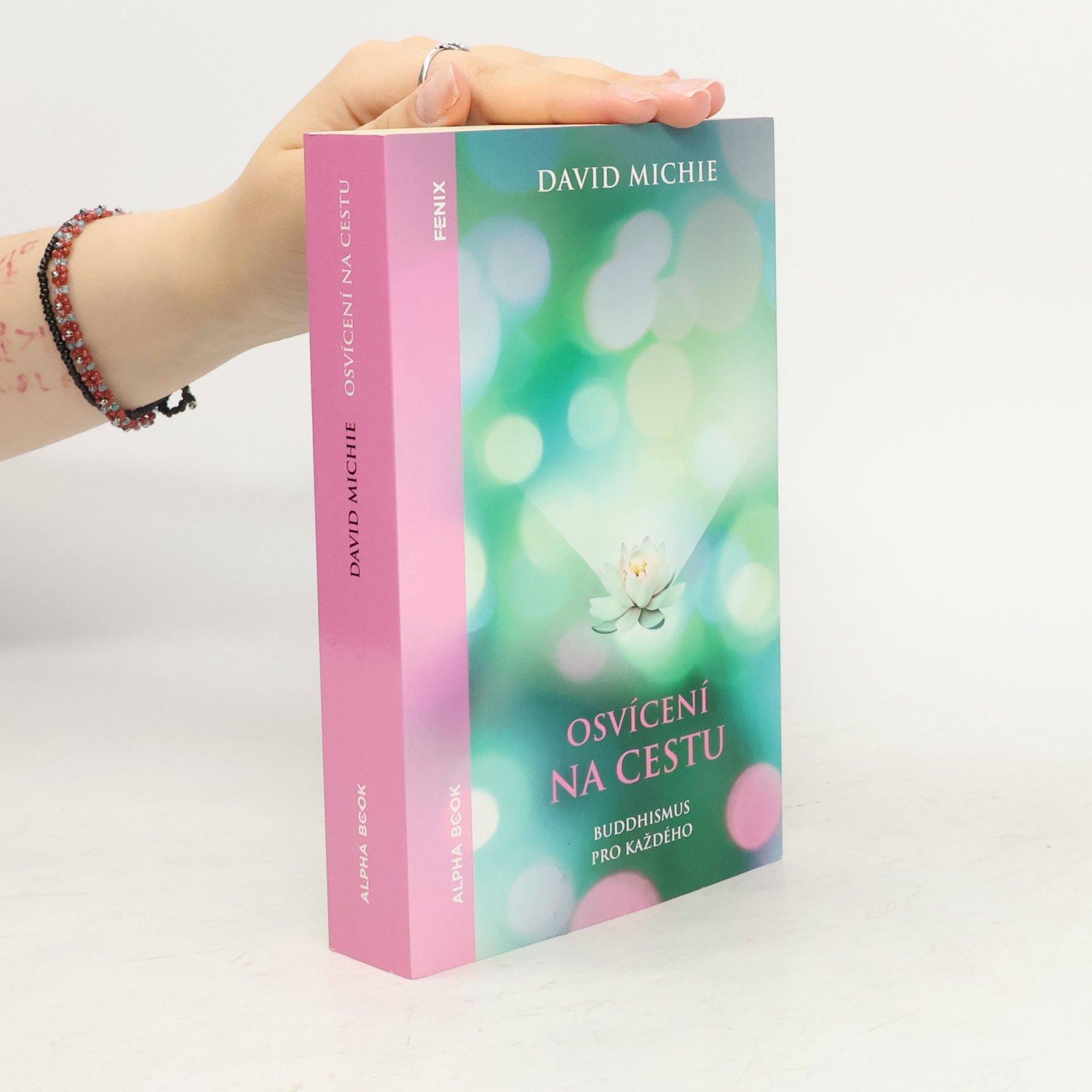 David Michie Osvícení na cestu : buddhismus pro každého