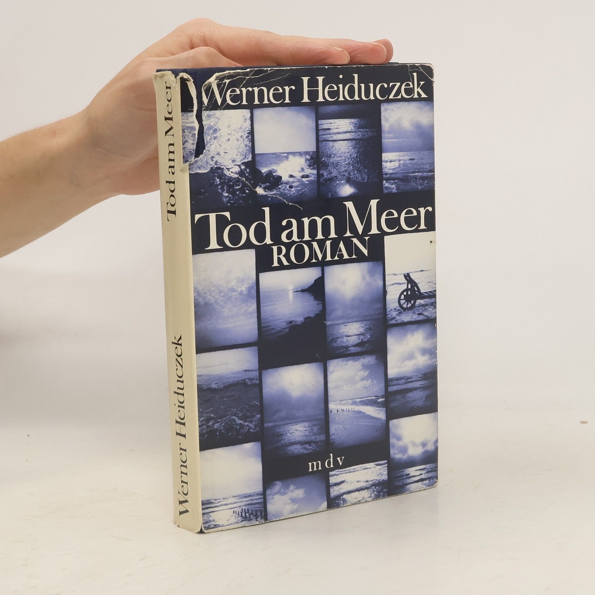 Werner Heiduczek Tod am Meer