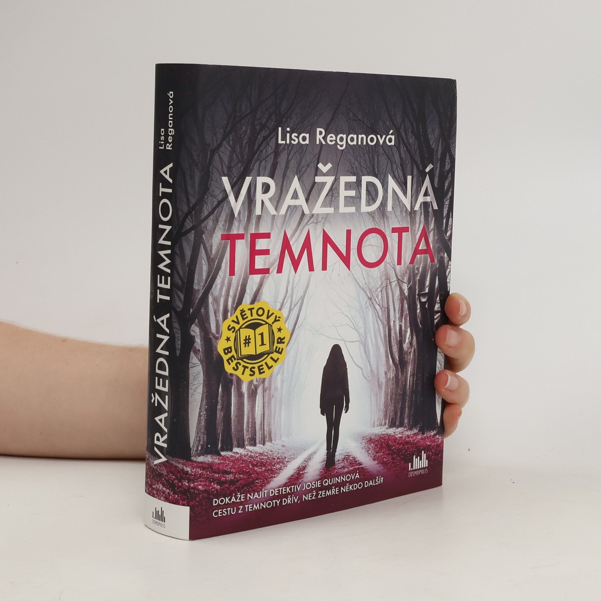 Lisa Regan Vražedná temnota