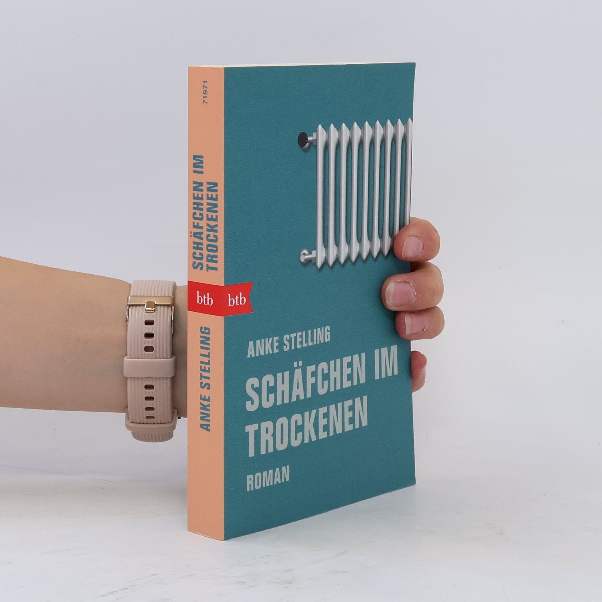 Anke Stelling Schäfchen im Trockenen
