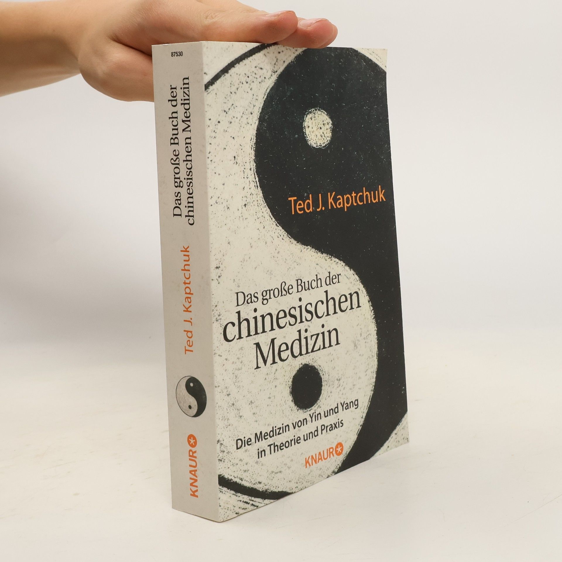 Ted J Kaptchuk Das große Buch der chinesischen Medizin