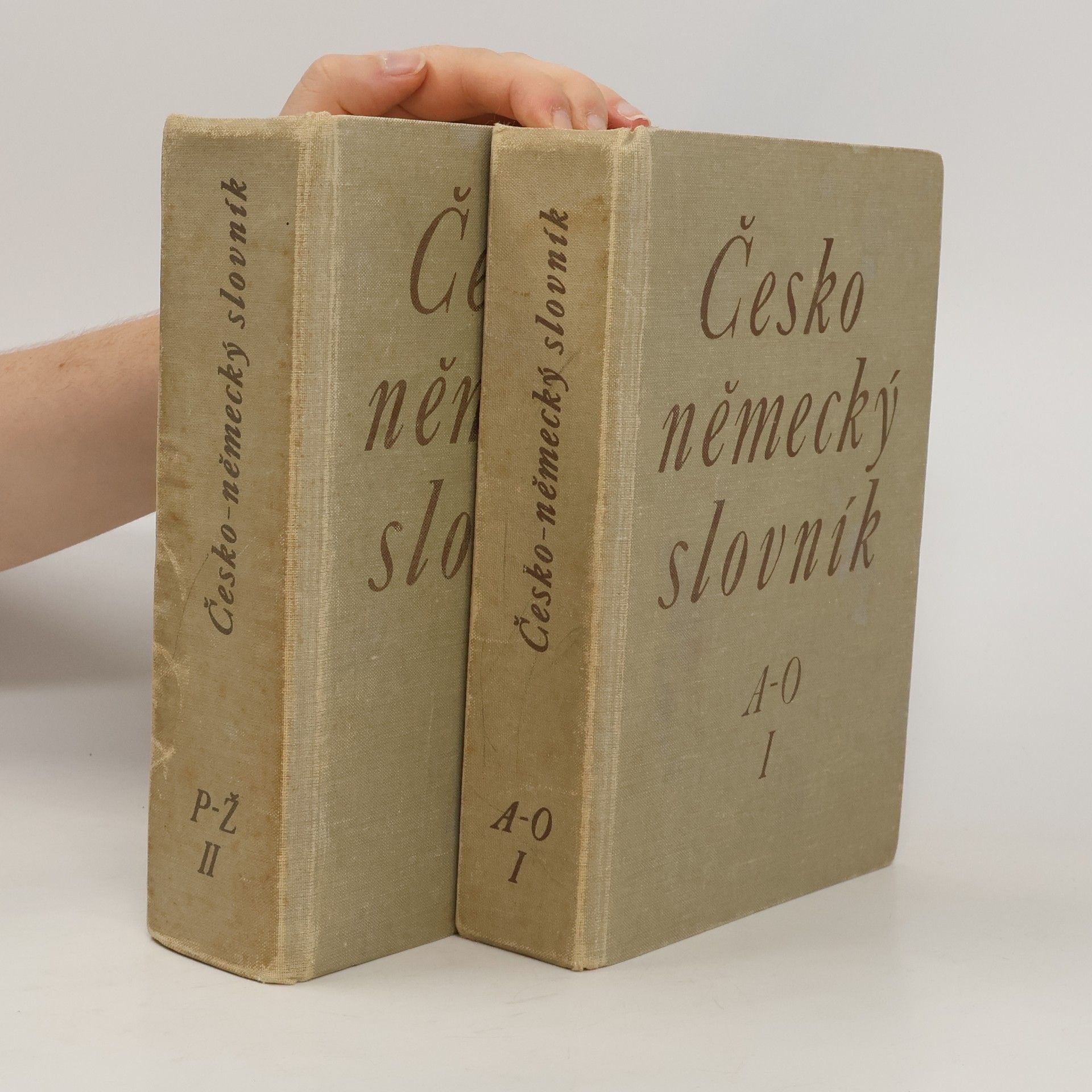 Autorenkollektiv Česko-německý slovník I-II