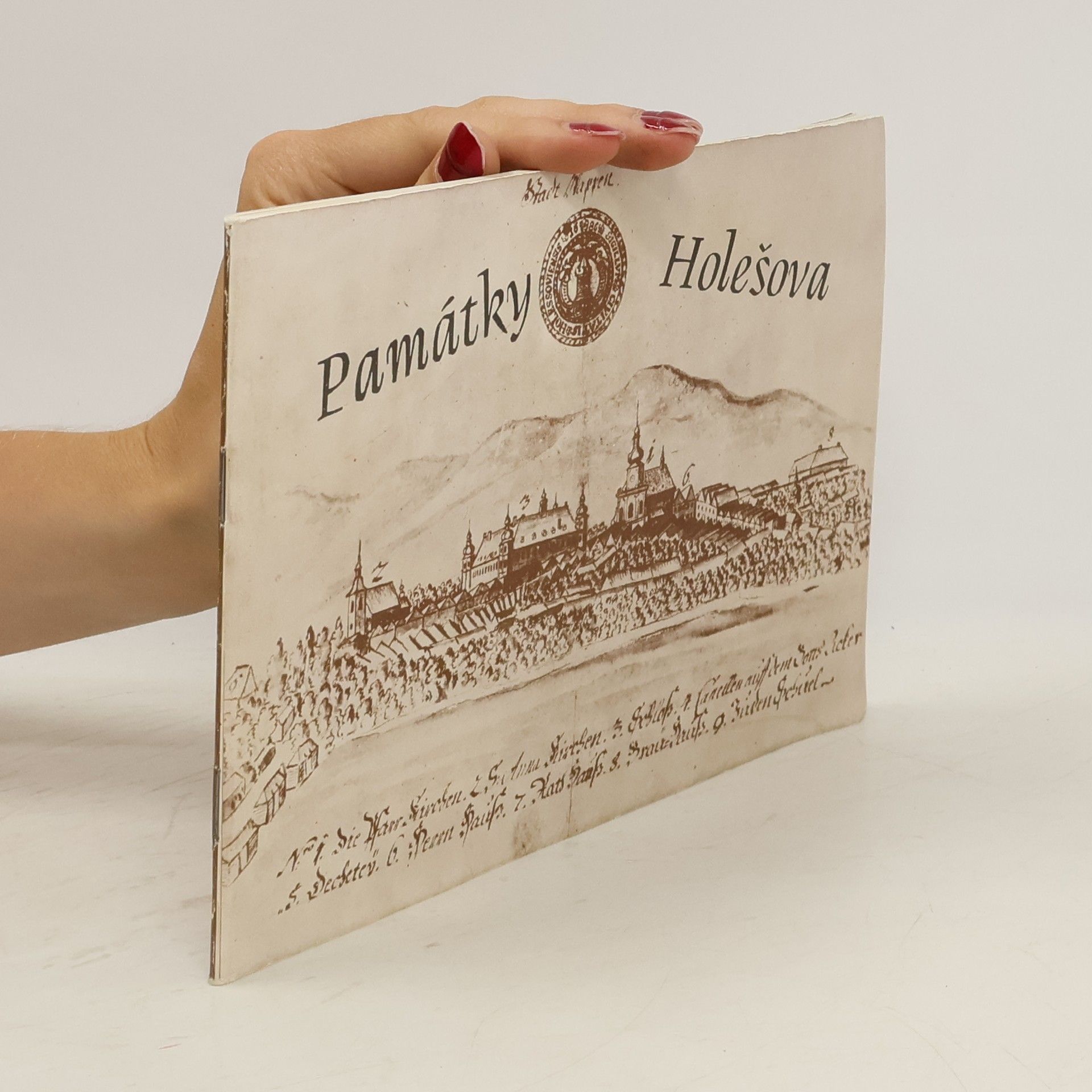 kolektiv Památky Holešova
