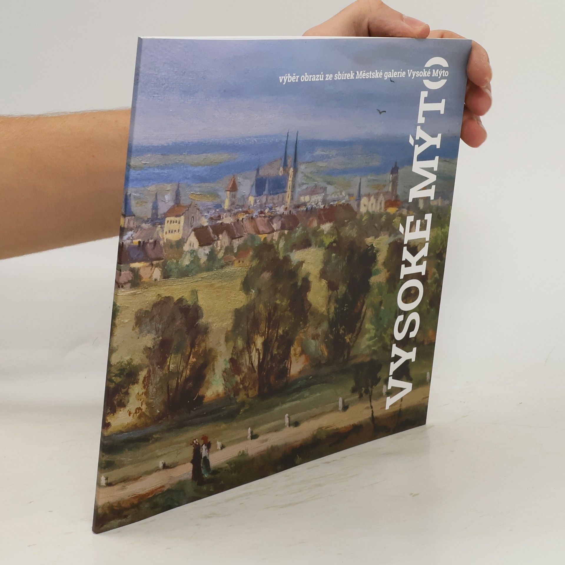 AA.VV. Vysoké Mýto