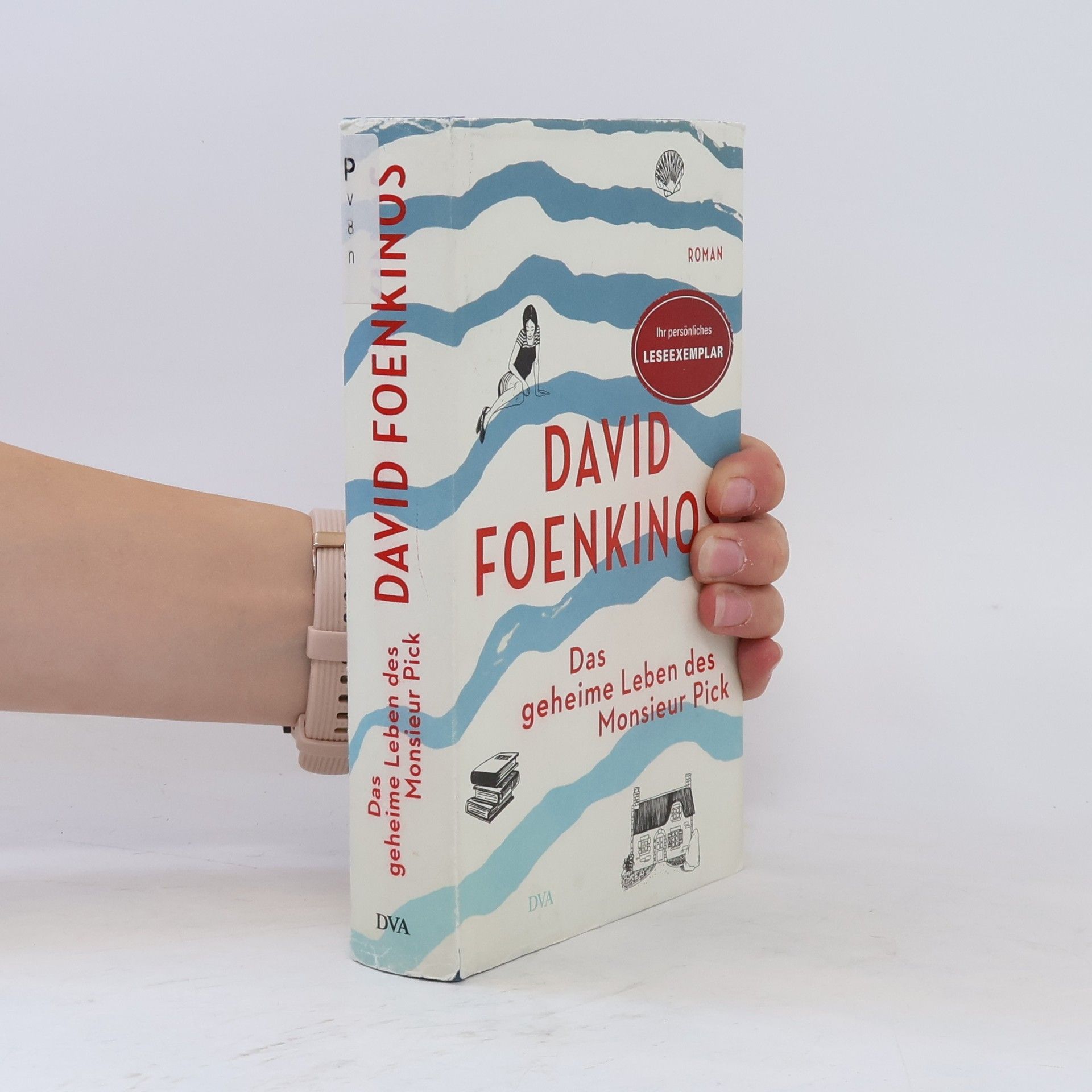David Foenkinos Das geheime Leben des Monsieur Pick
