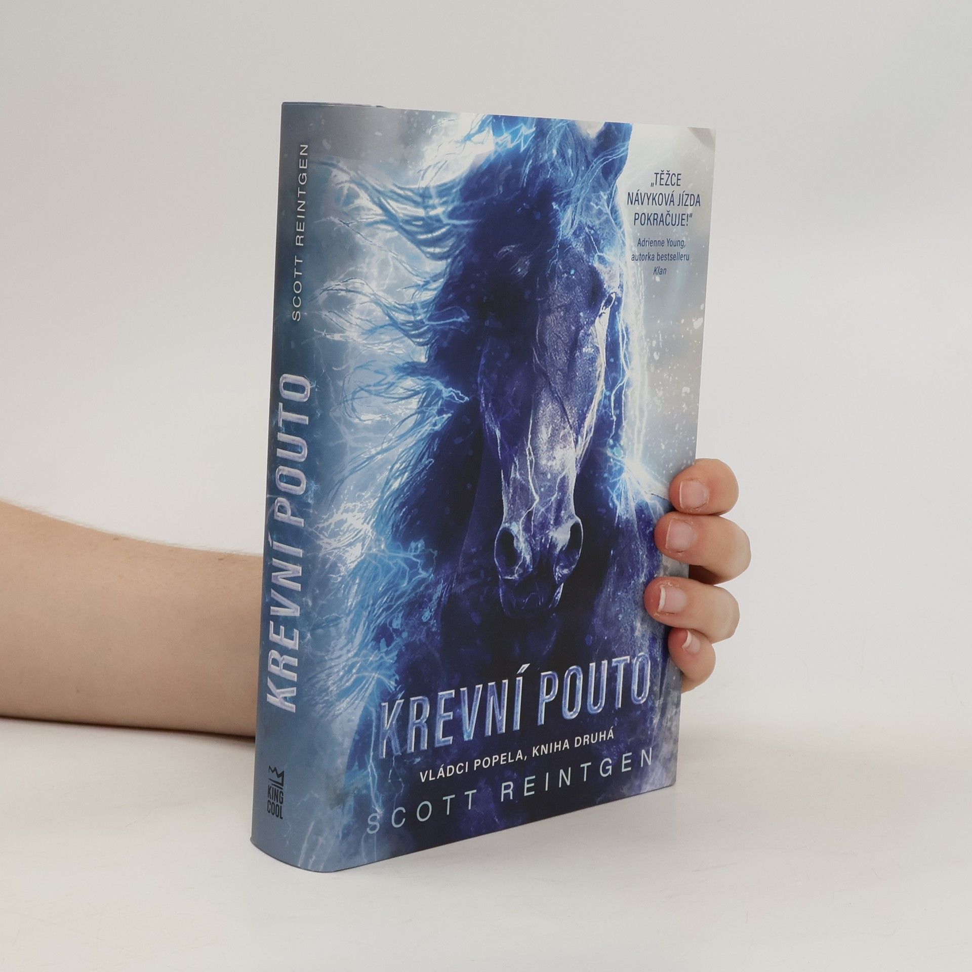 Vládci popela. Kniha druhá, Krevní pouto