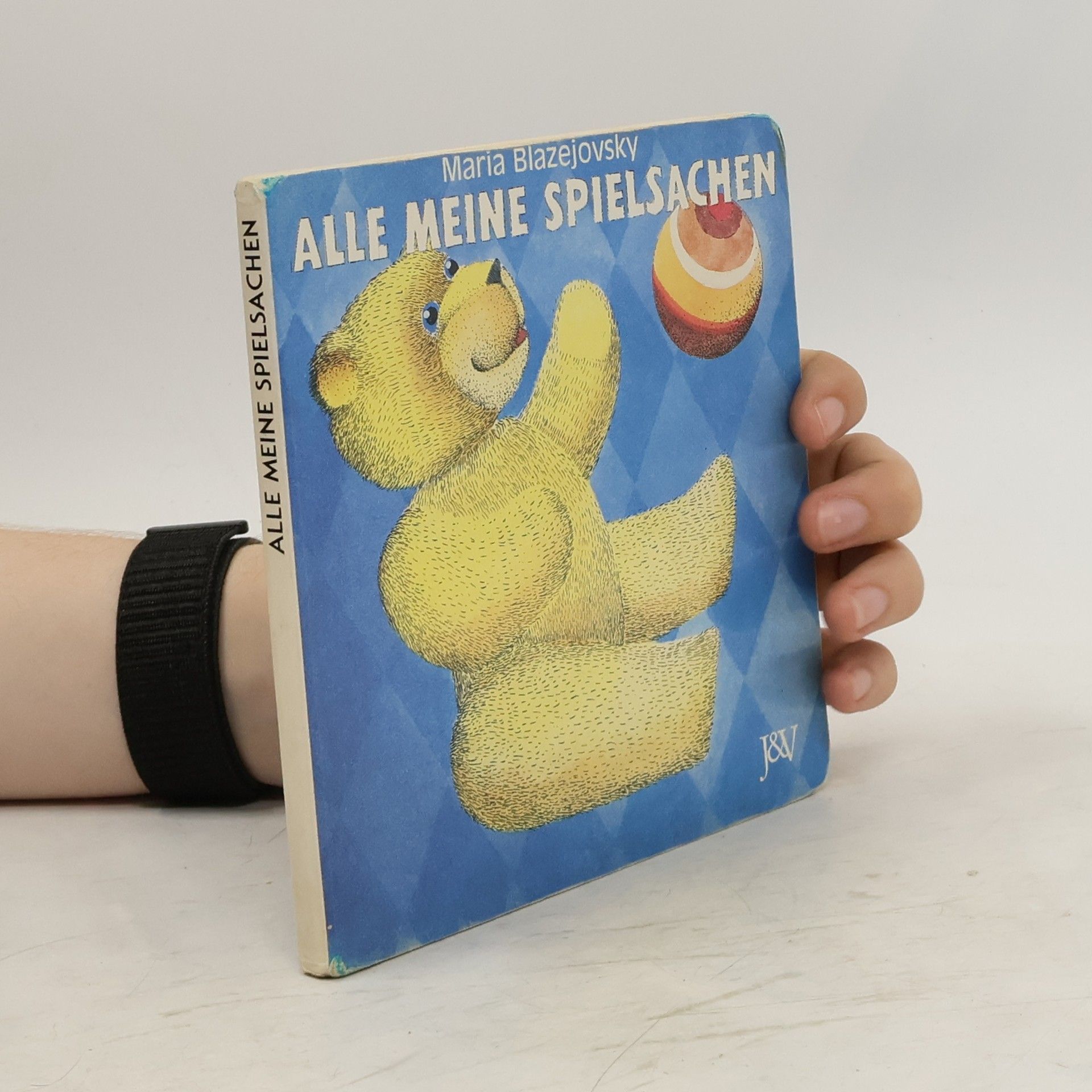 Maria Blazejovsky Alle meine Spielsachen