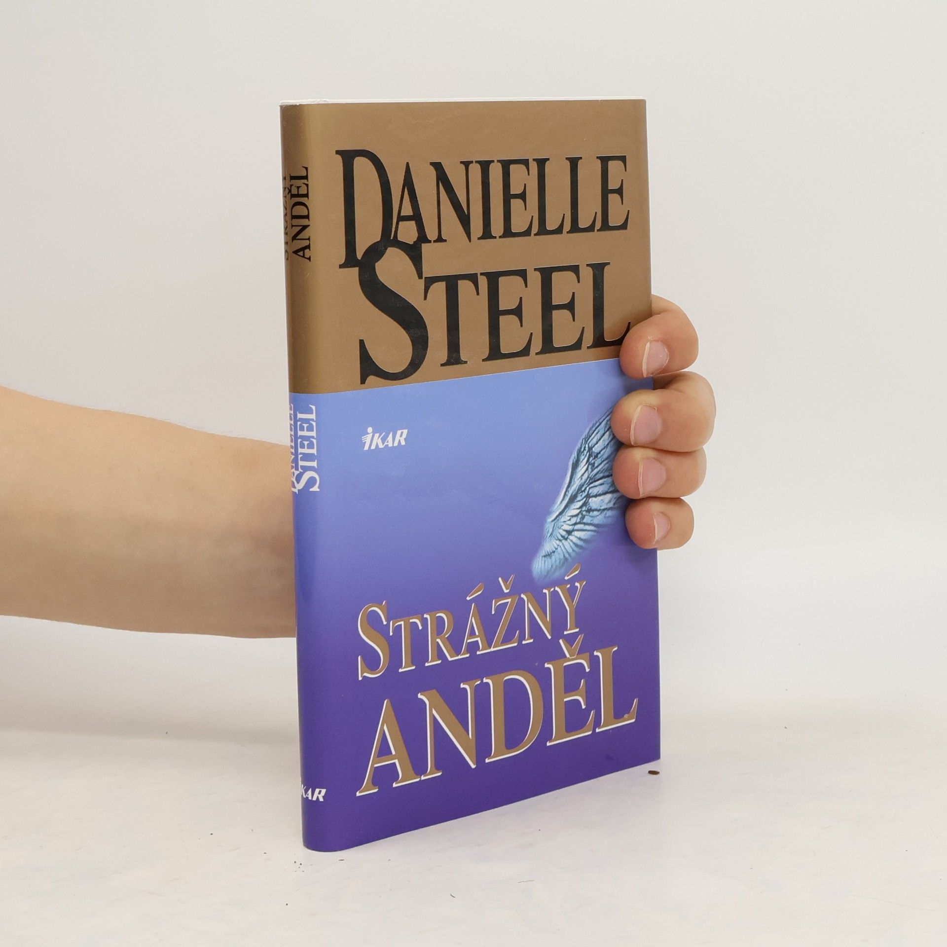Danielle Steel Strážný anděl