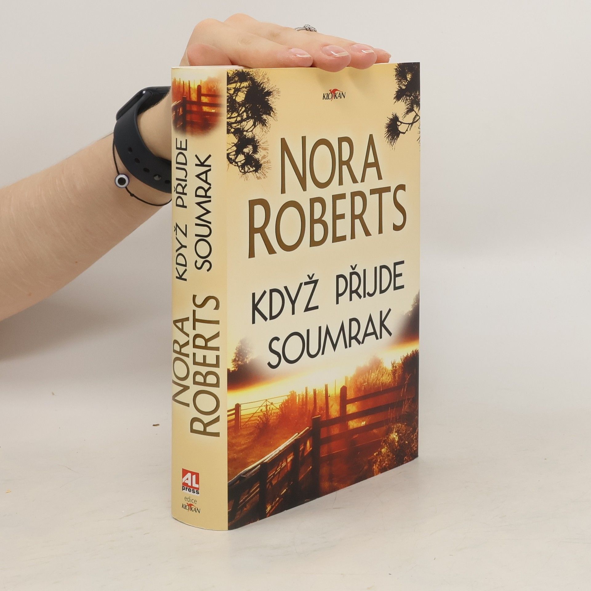 Nora Roberts Když přijde soumrak