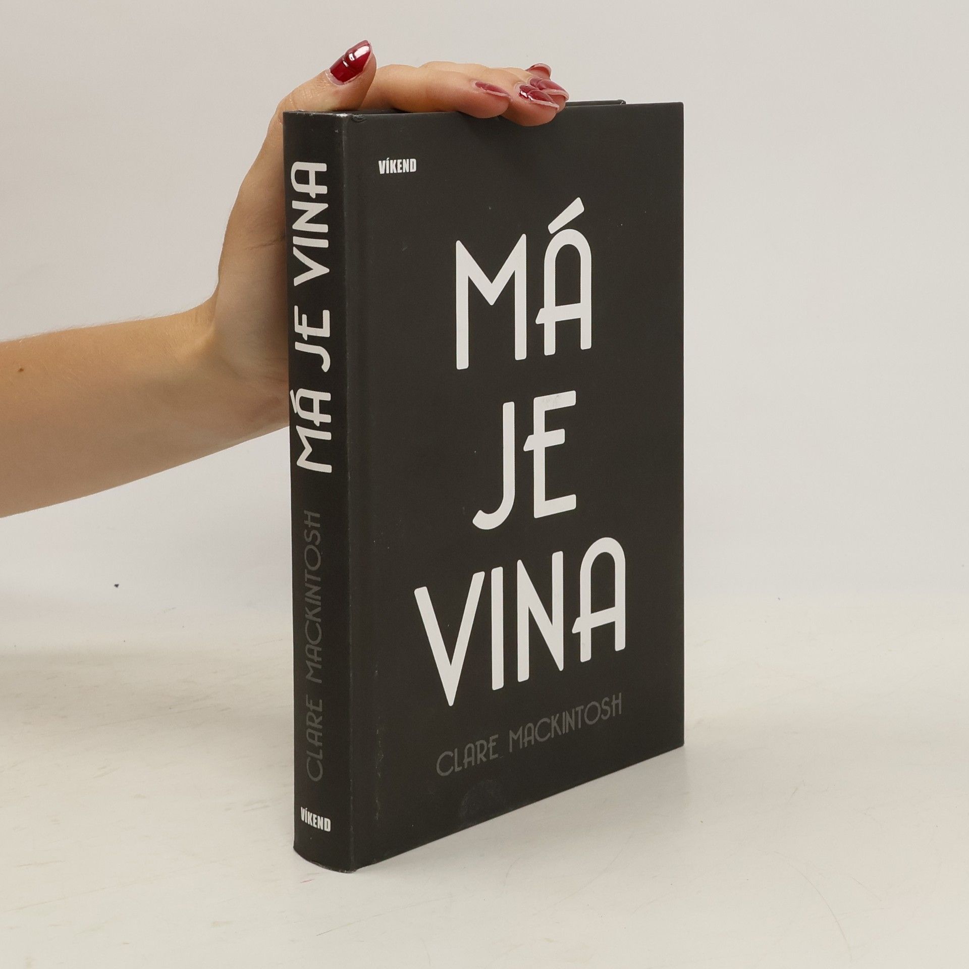 Clare Mackintosh Má je vina