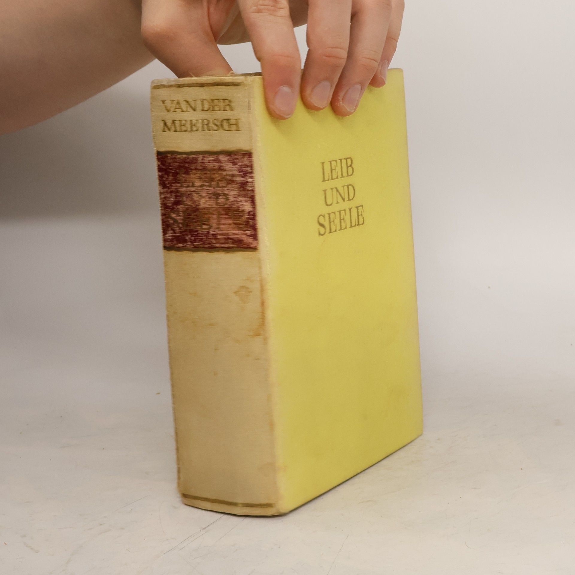 Maxence van der Meersch Leib und Seele