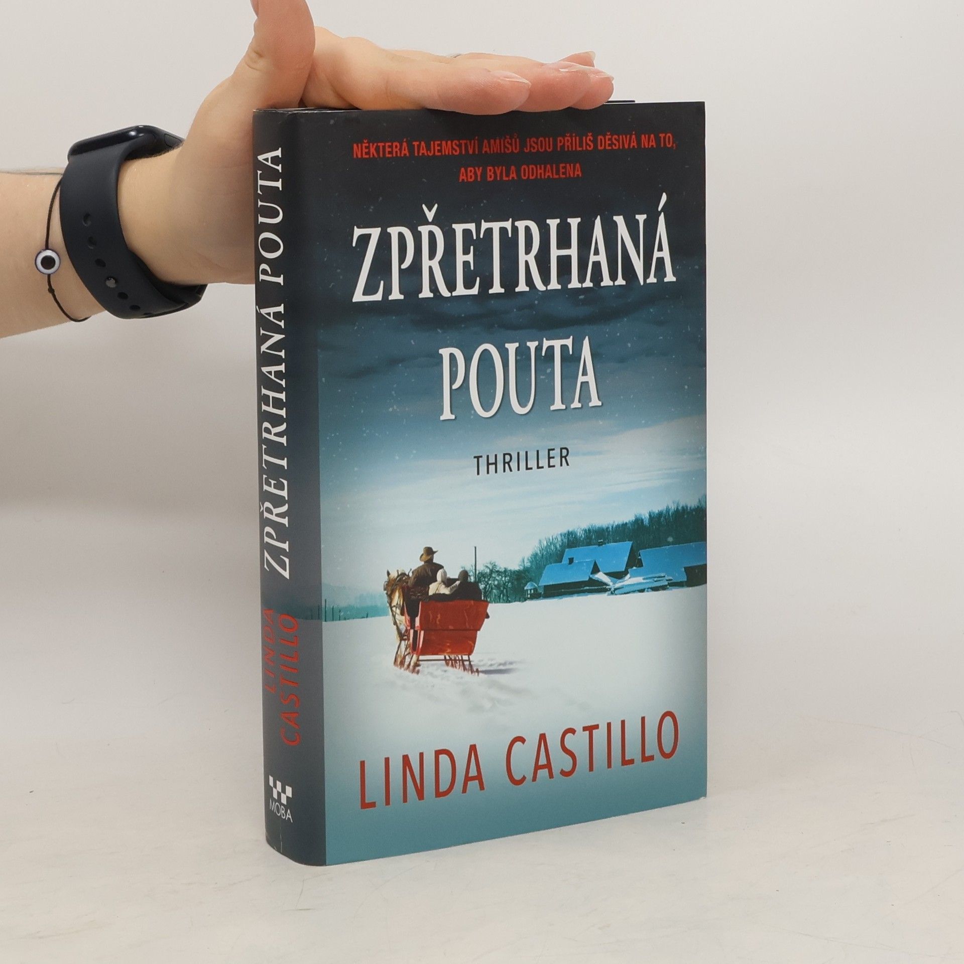 Linda Castillo Zpřetrhaná pouta