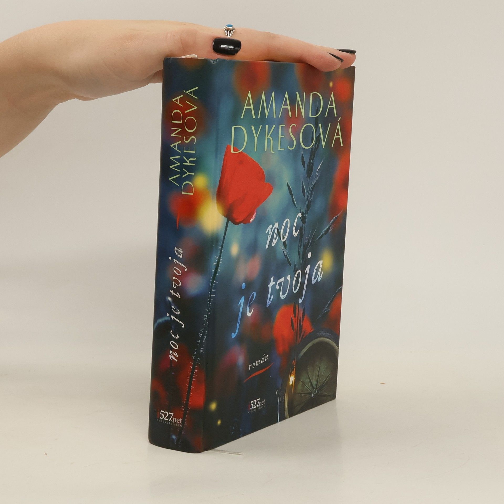 Amanda Dykes Noc je tvoja