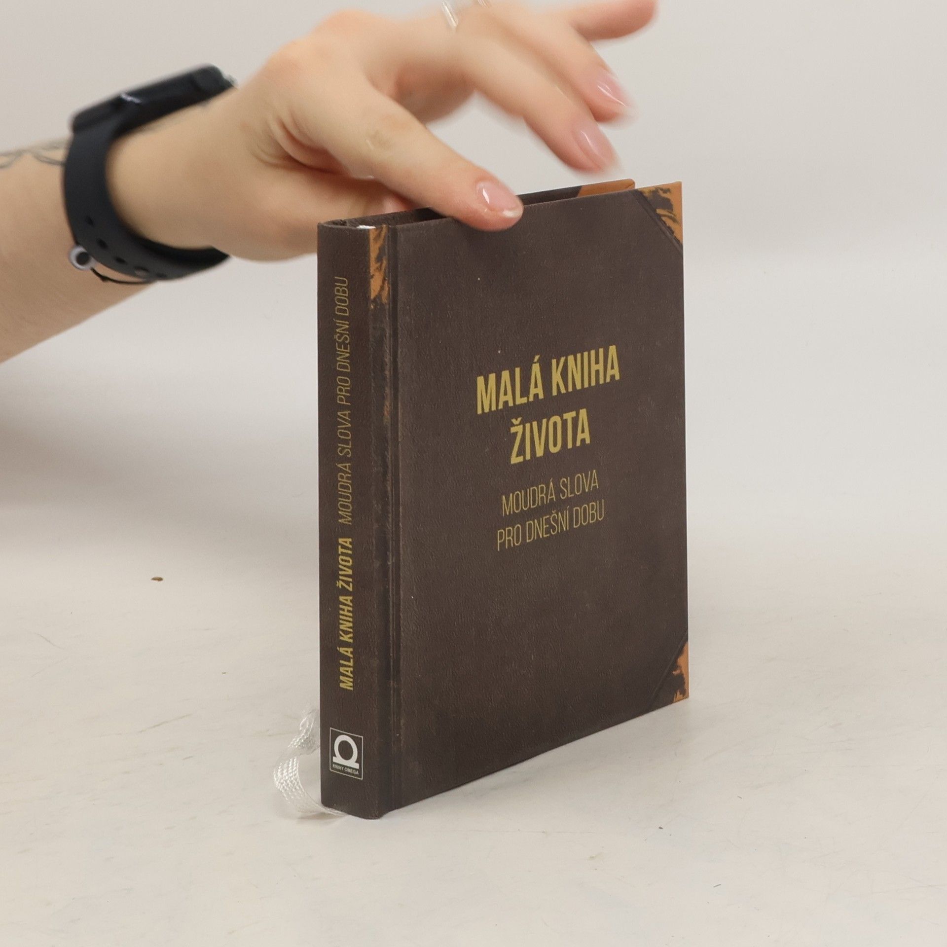 Collectif d'auteurs Malá kniha života - Moudrá slova pro dnešní dobu