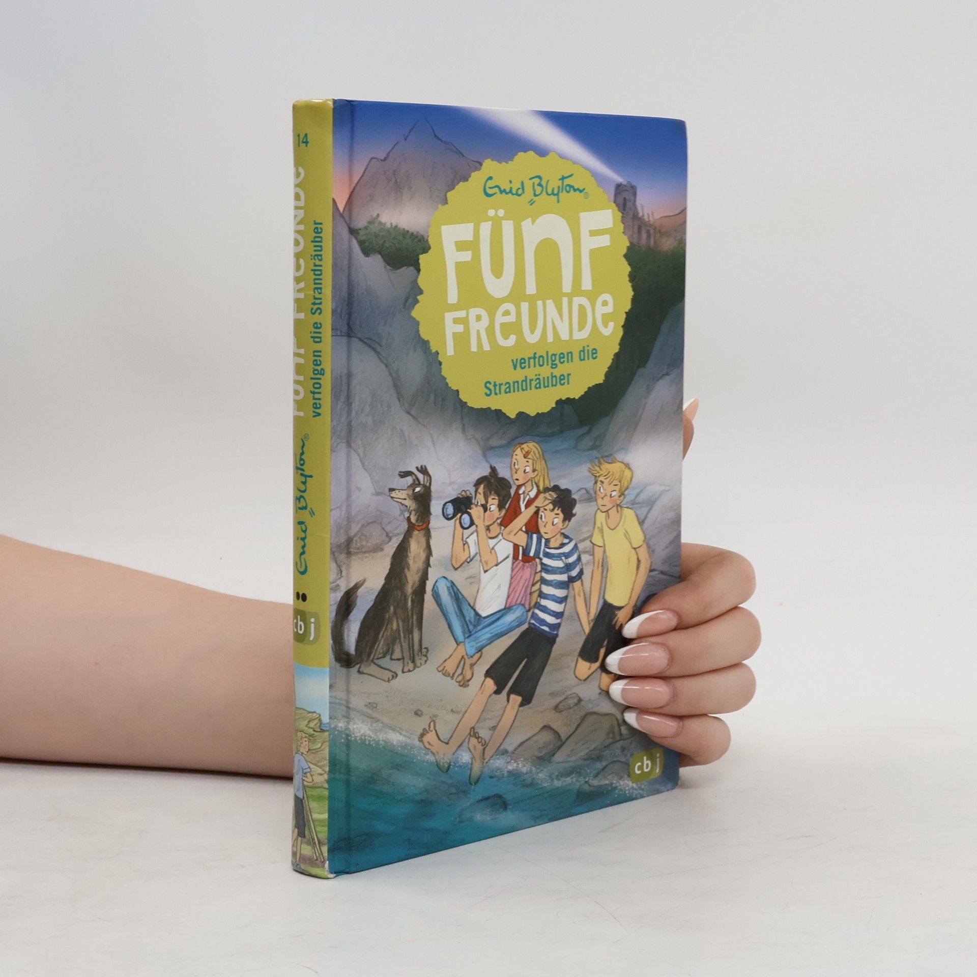 Enid Blyton Fünf Freunde verfolgen die Strandräuber