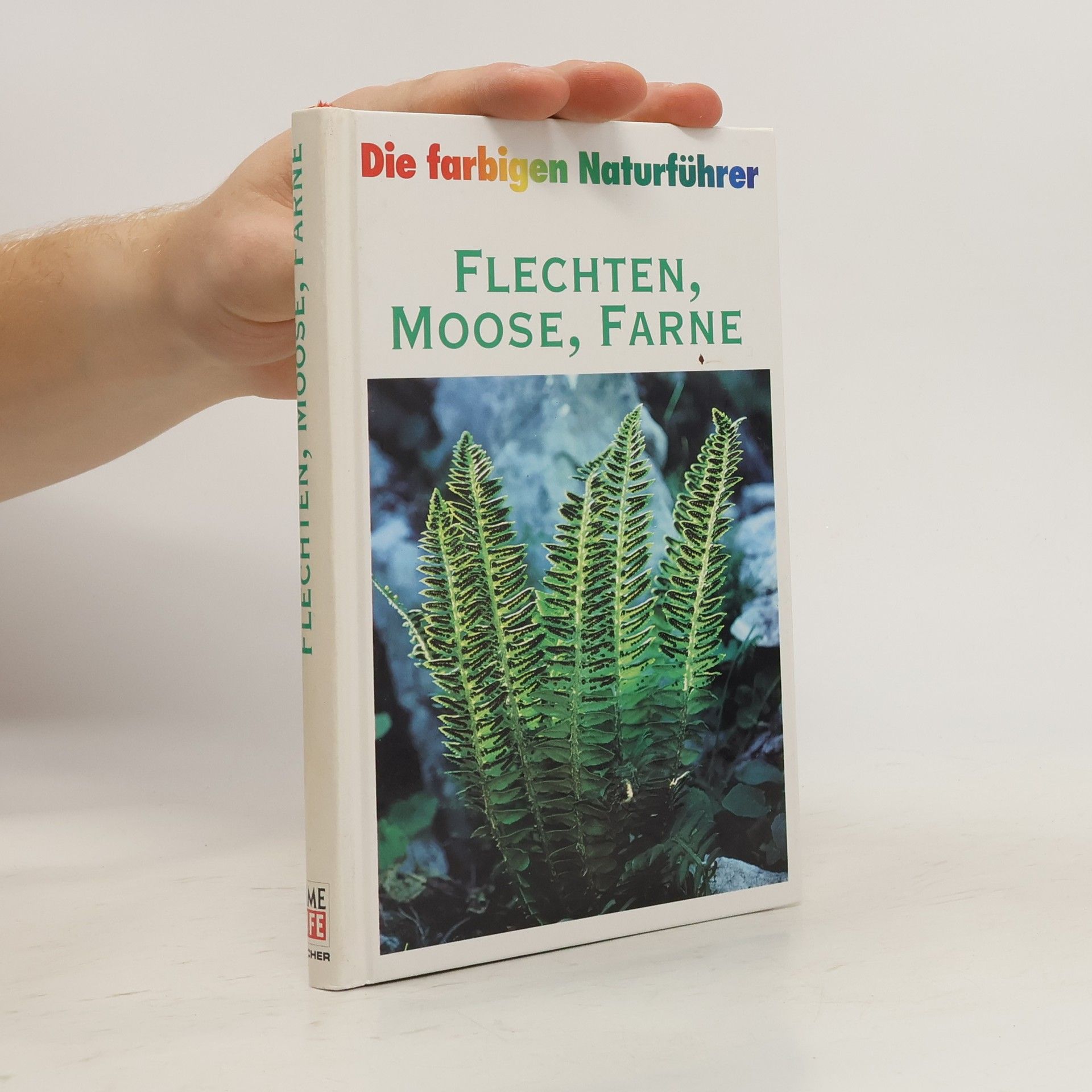 Autorenkollektiv Die farbigen Naturführer: Flechten, Moose, Farne