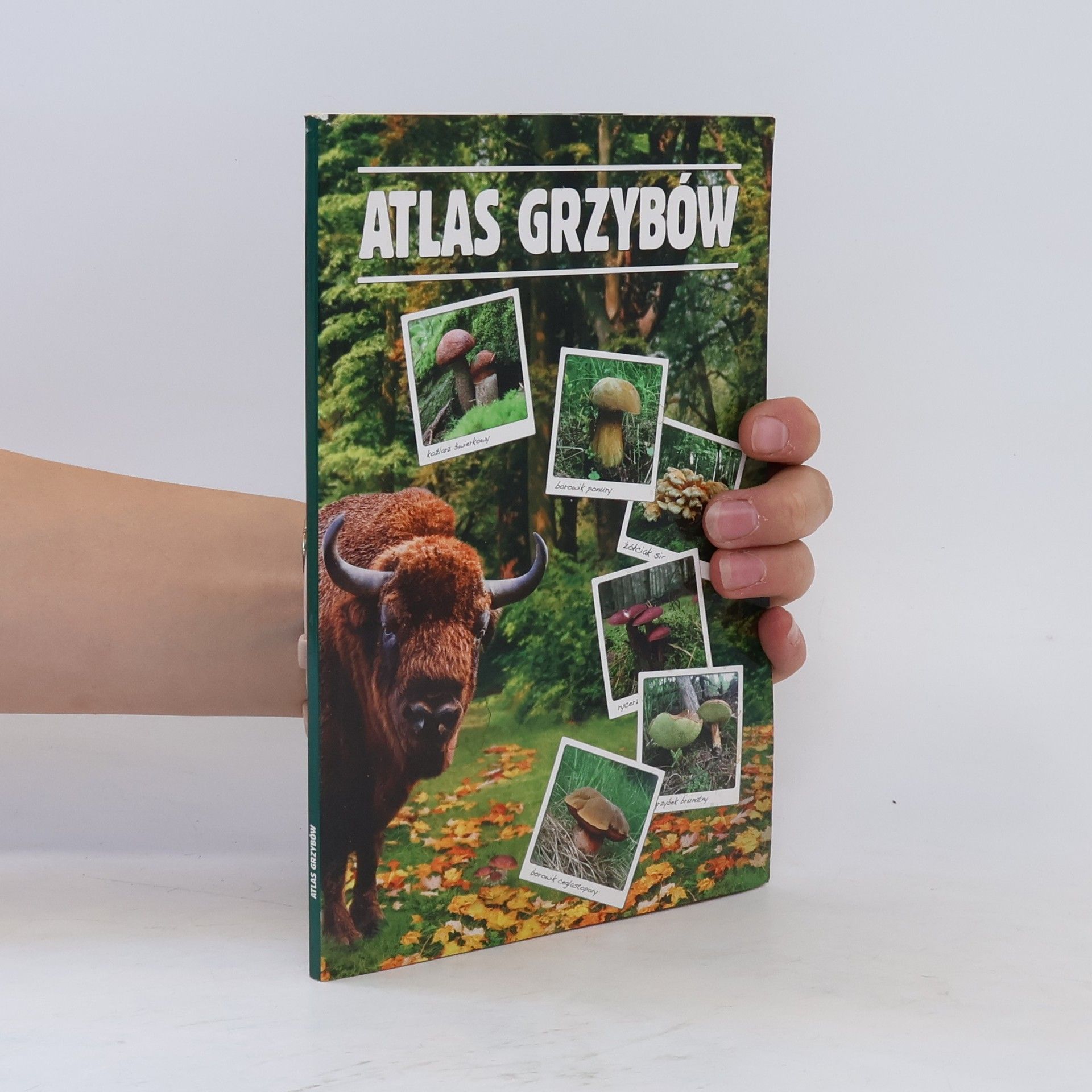 Autorenkollektiv Atlas grzybów
