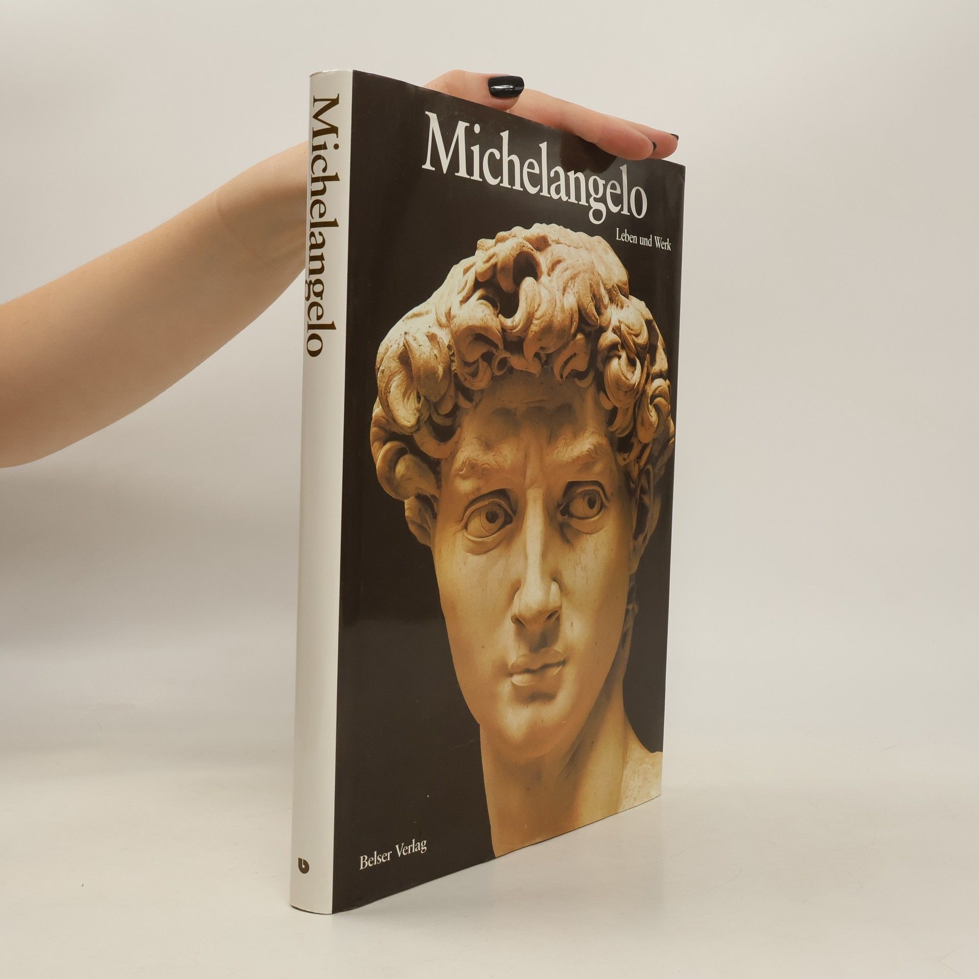 Bernard Lamarche-Vadel Michelangelo