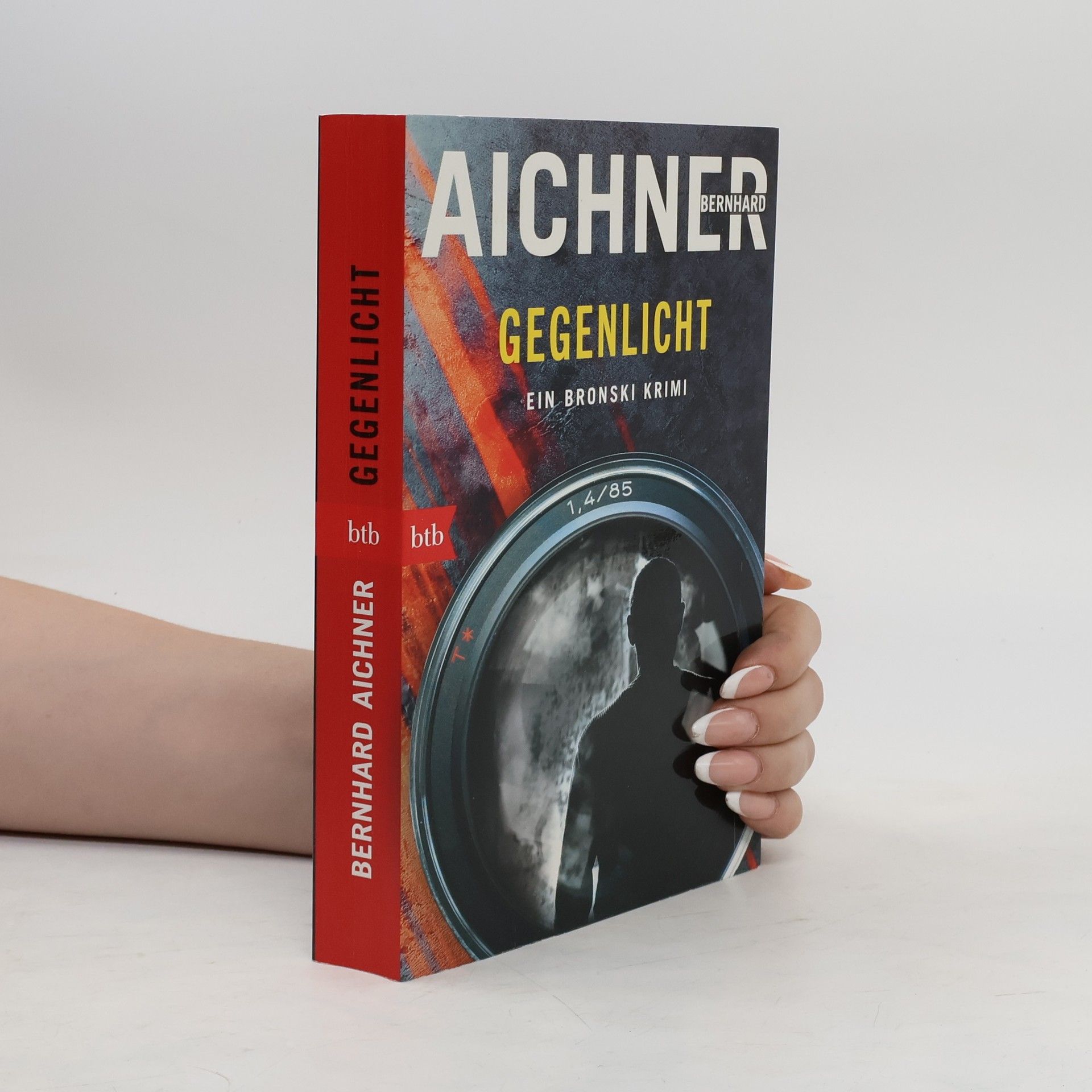 Bernhard Aichner Gegenlicht
