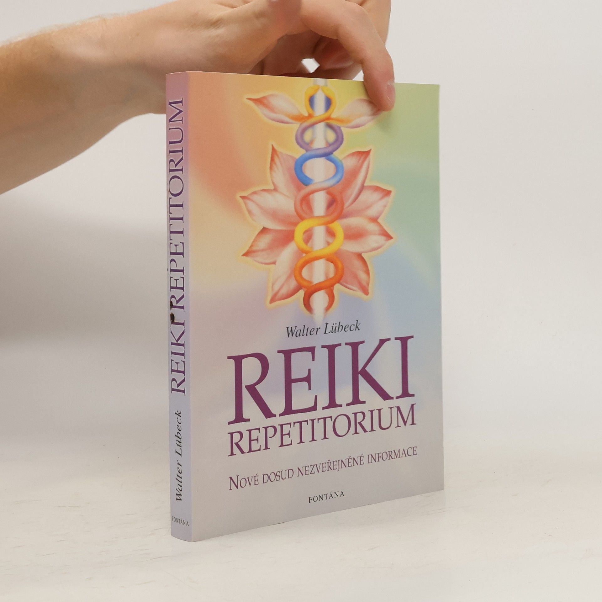 Walter Lübeck Repetitorium reiki