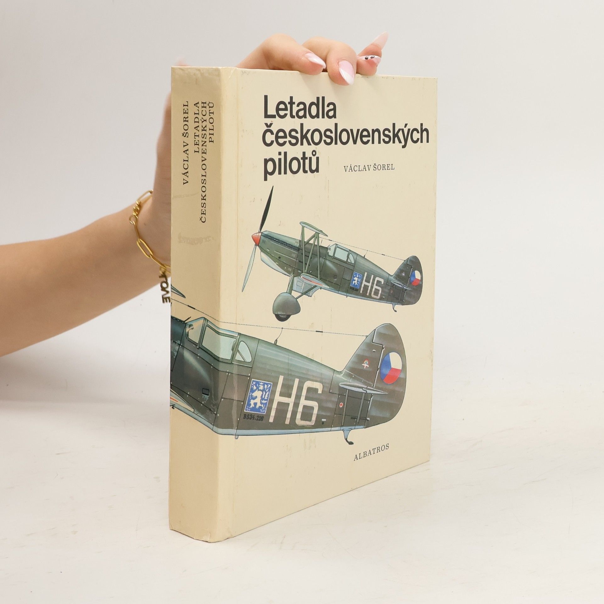 Václav Šorel Letadla československých pilotů