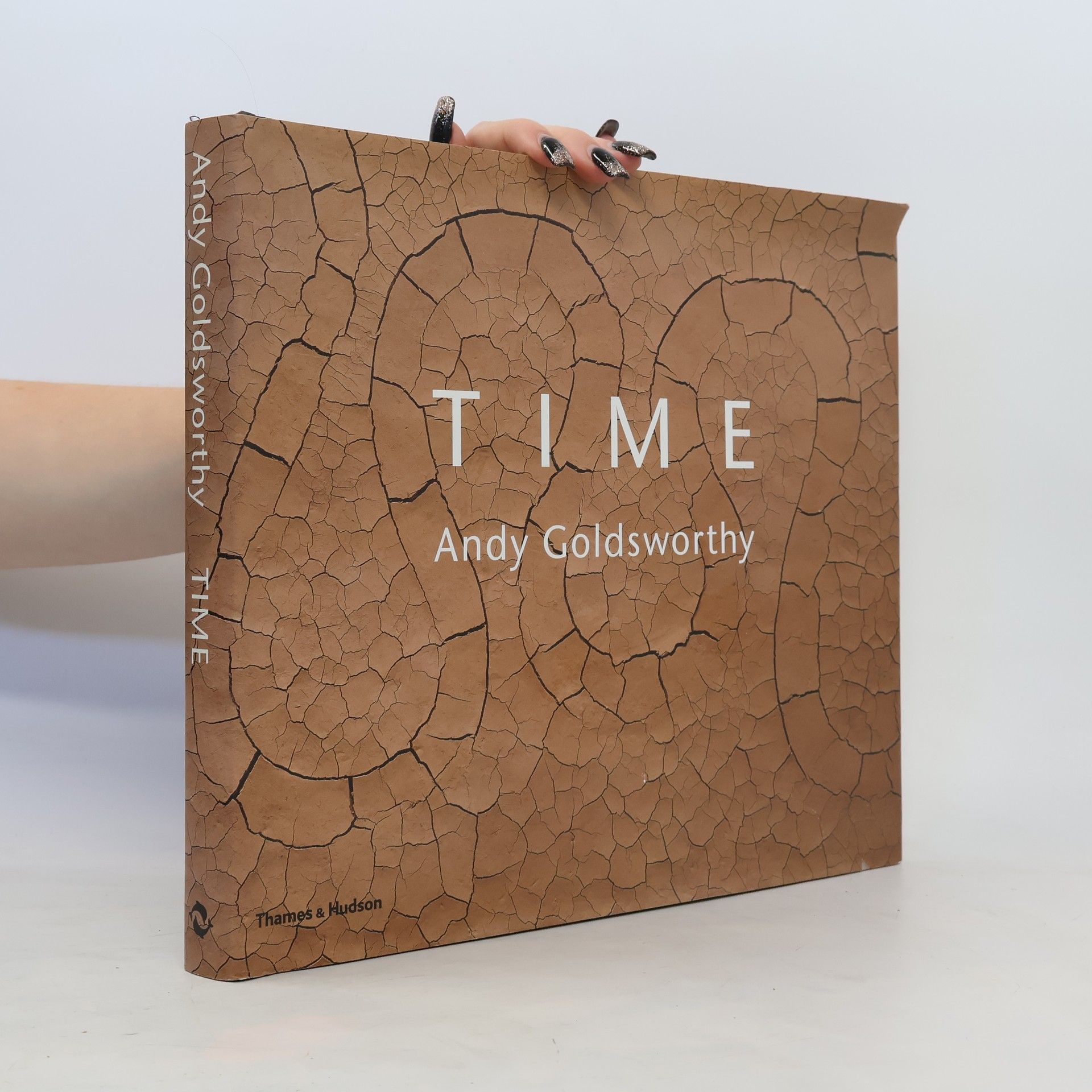 Andy Goldsworthy Time