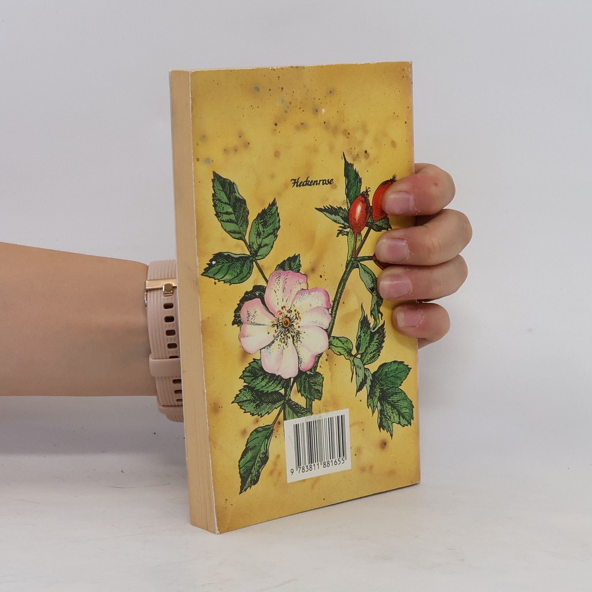 Collectif d'auteurs Gesundheit aus der Natur-Apotheke Zier und Nutzpflanzen