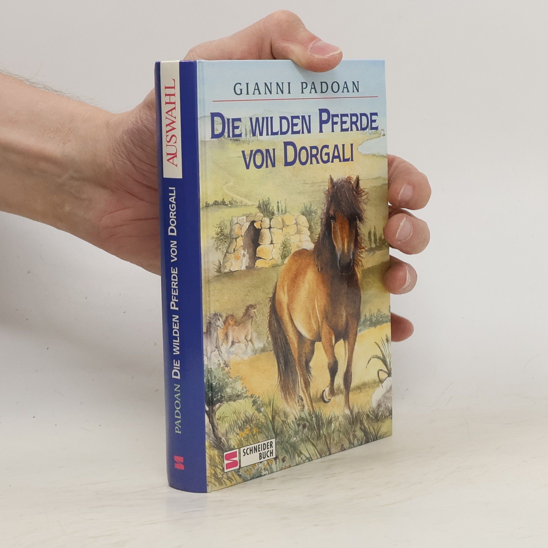 Gianni Padoan Die wilden Pferde von Dorgali