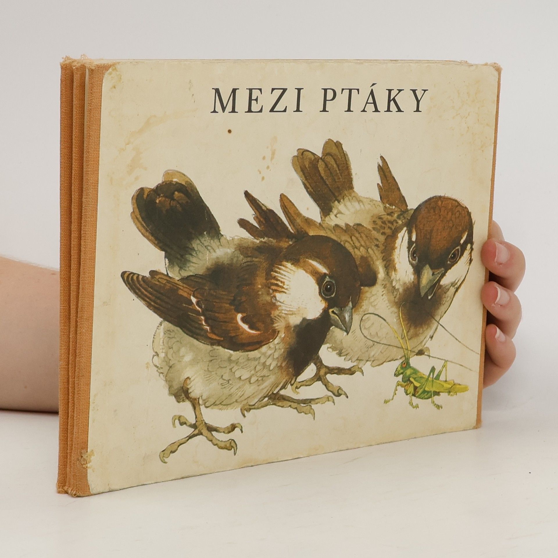 Vladimír Machaj Mezi ptáky