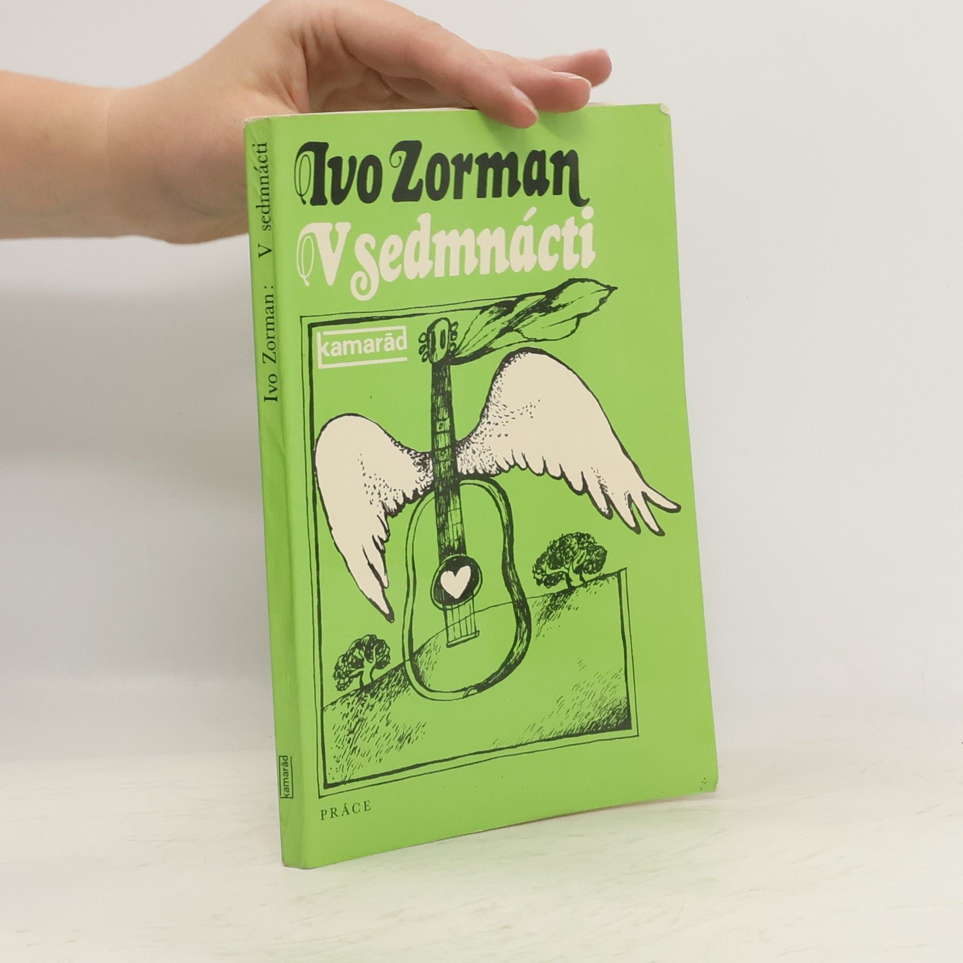 Ivo Zorman V sedmnácti