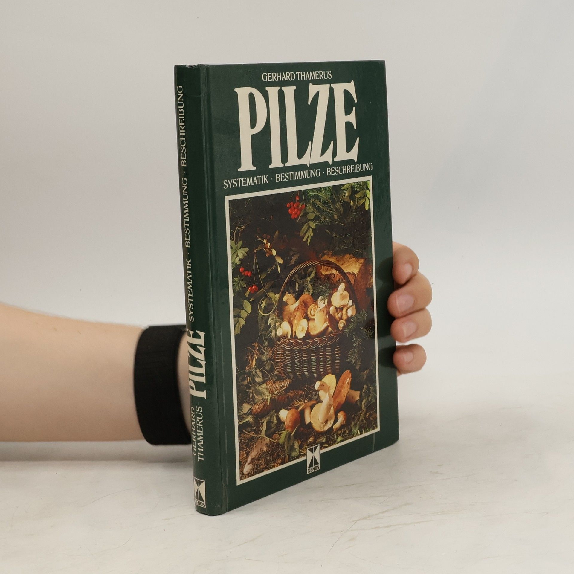 Gerhard Thamerus Pilze
