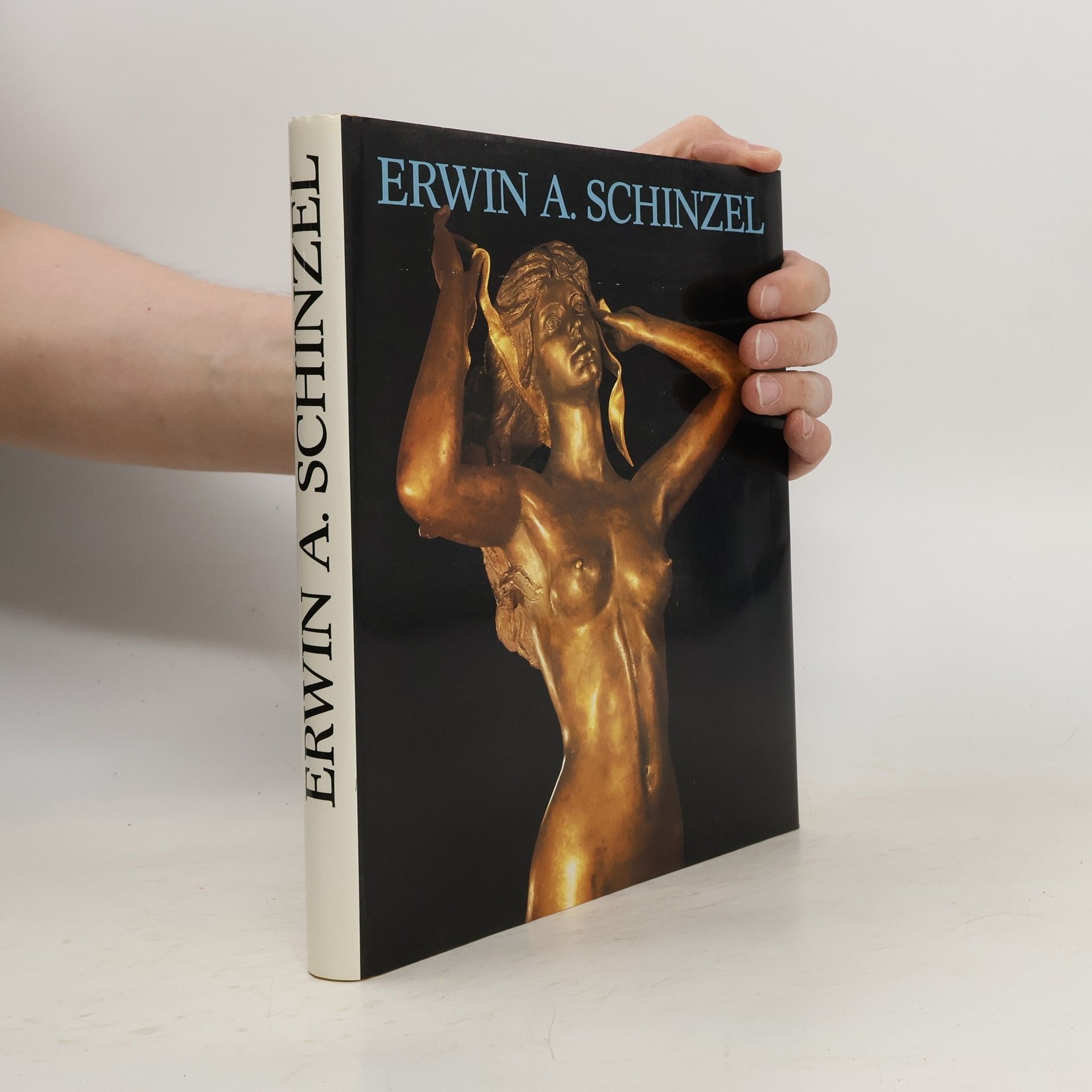 kolektiv Der Bildhauer. Erwin A. Schinzel