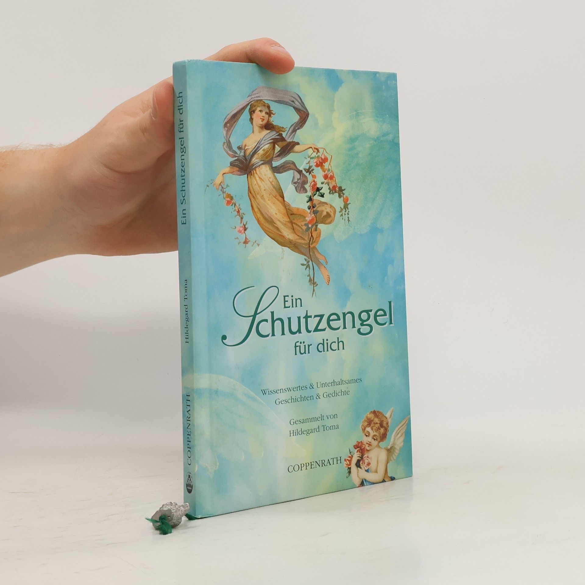 Hildegard Toma Ein Schutzengel für dich