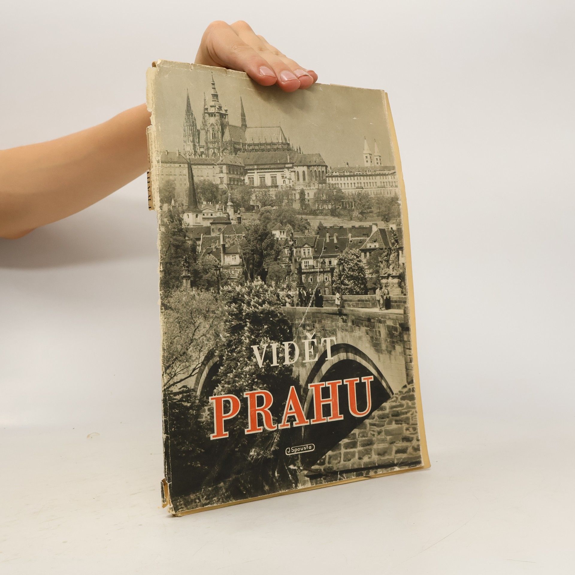 František Dvořák Vidět Prahu