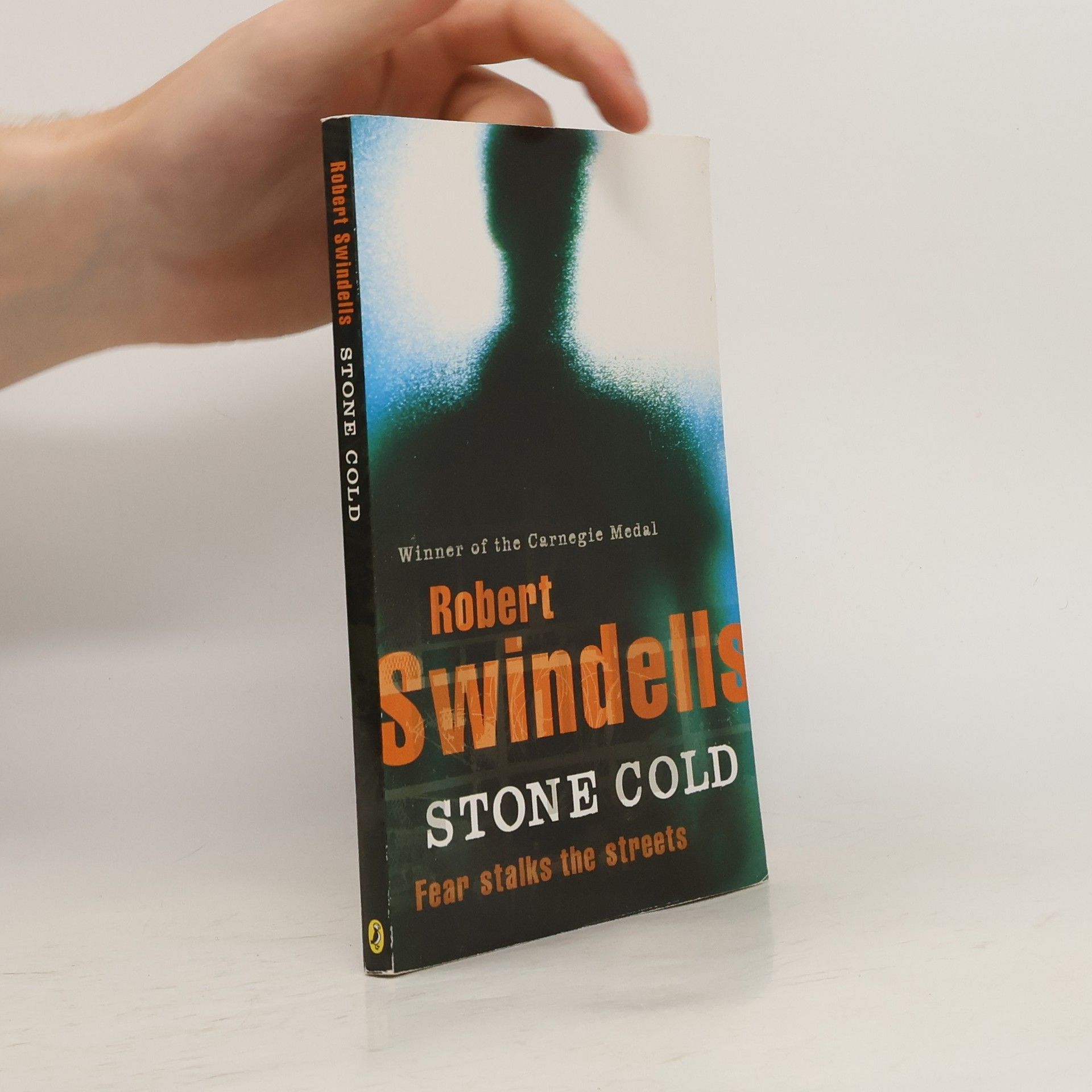 Robert E. Swindells Stone Cold