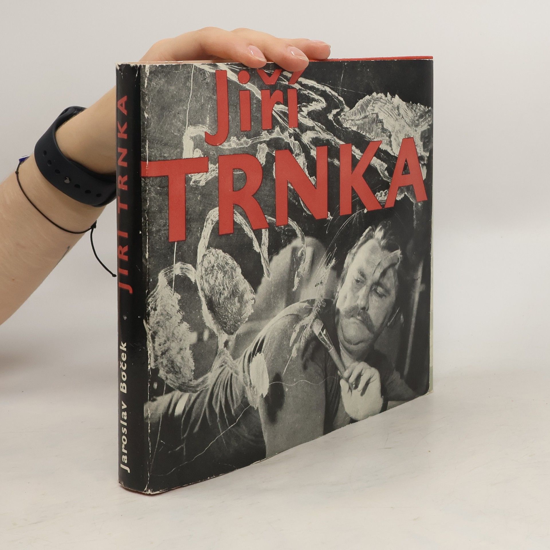 Jaroslav Boček Jiří Trnka: historie díla a jeho tvůrce