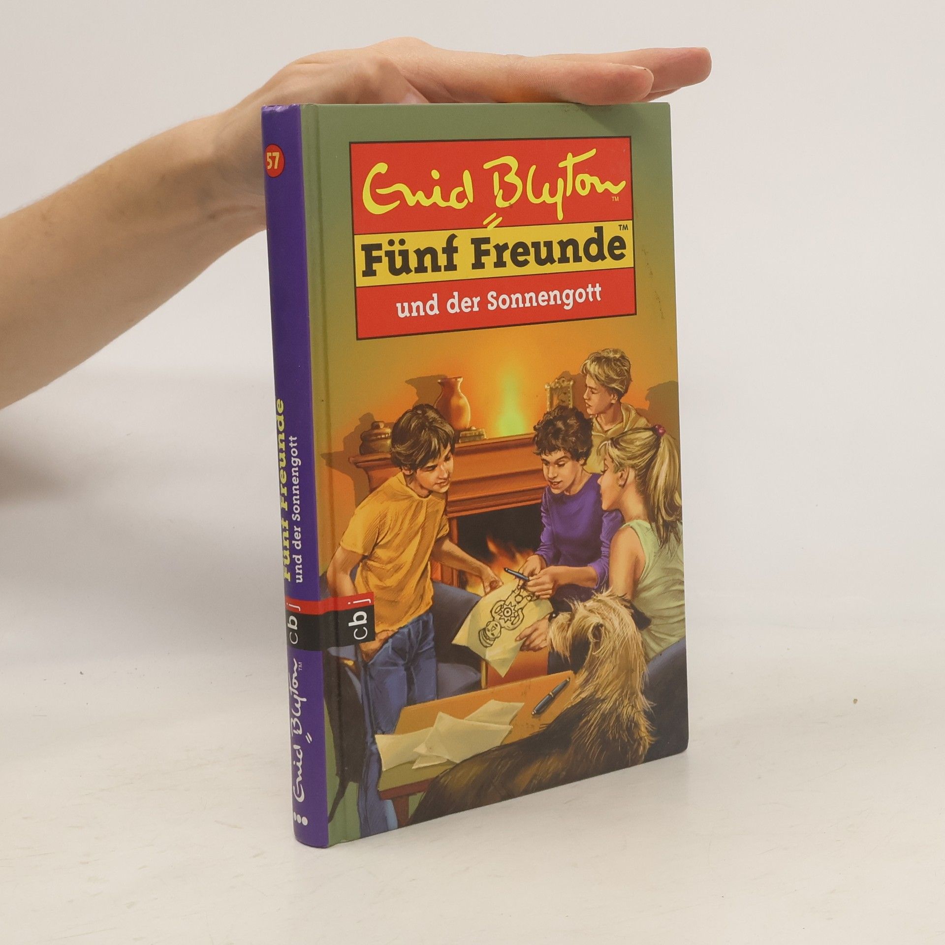 Sarah Bosse Fünf Freunde und der Sonnengott