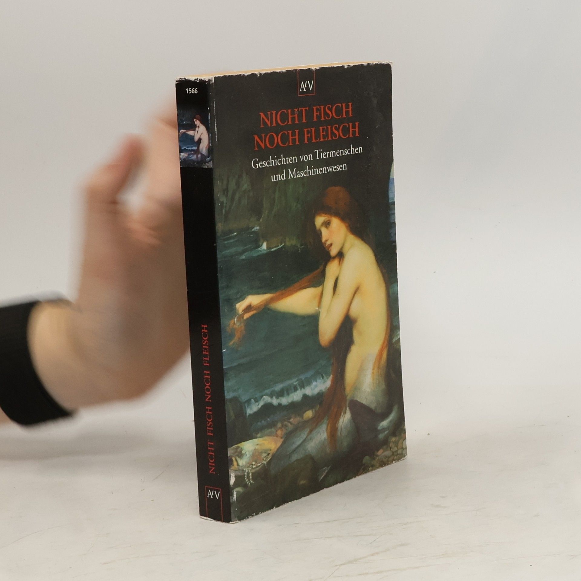 Tilman Spreckelsen Nicht Fisch noch Fleisch