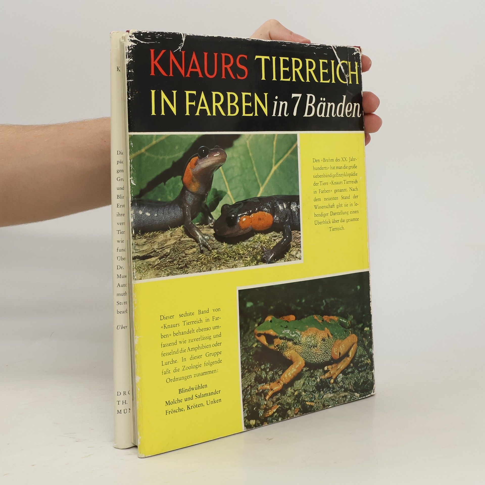 Doris Cochran Knaurs Tierreich in Farben. Amphibien