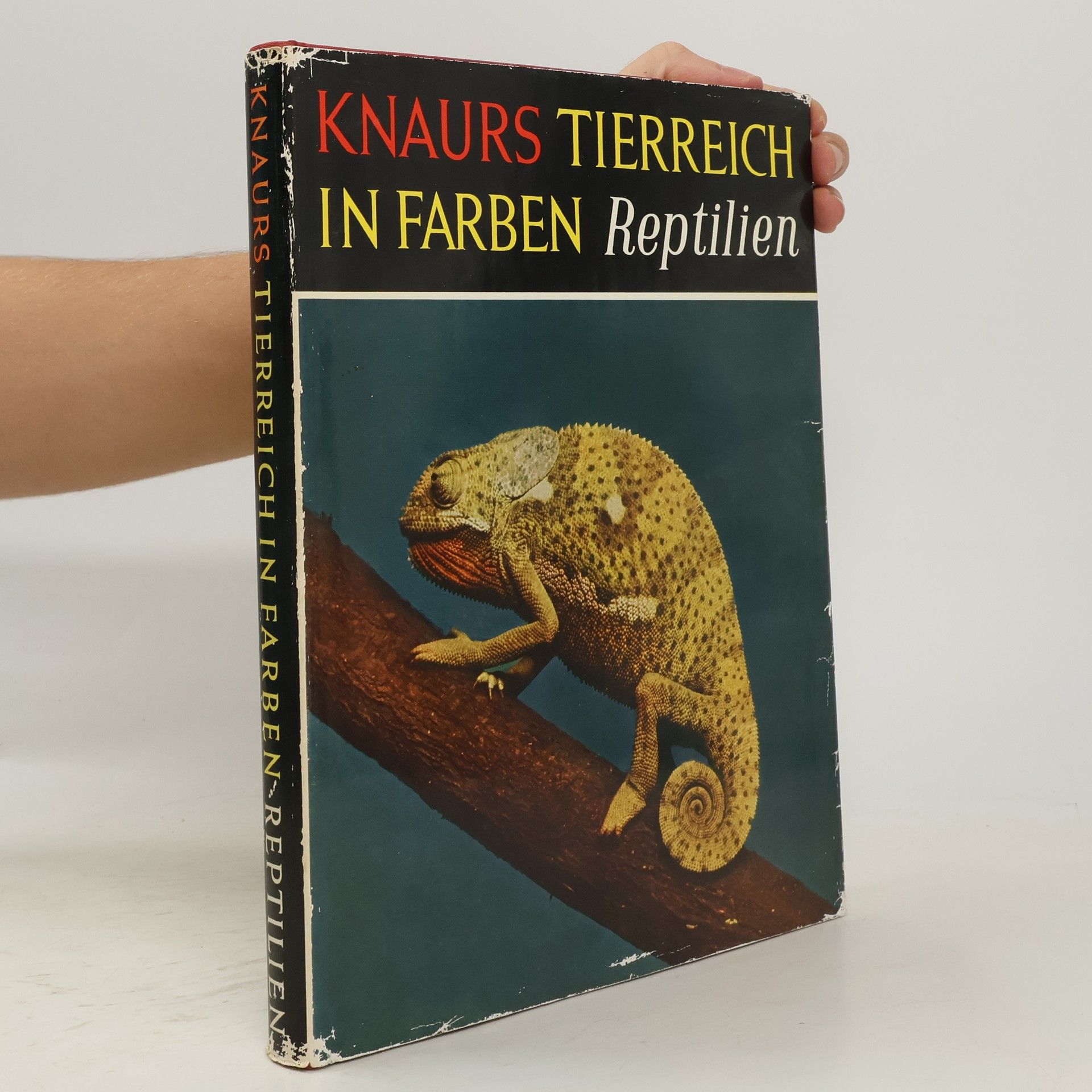 Karl Patterson Schmidt Knaurs Tierreich in Farben: Reptilien