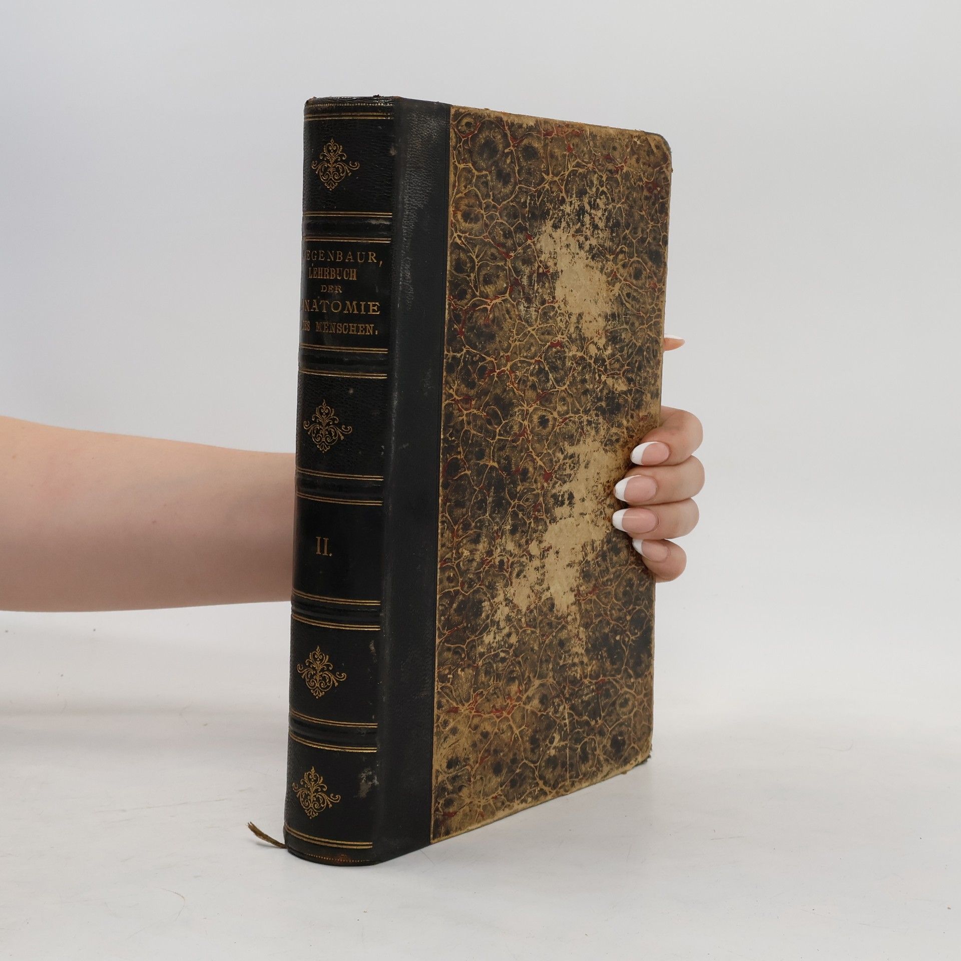 C. Gegenbaur Lehrbuch der Anatomie des Menschen