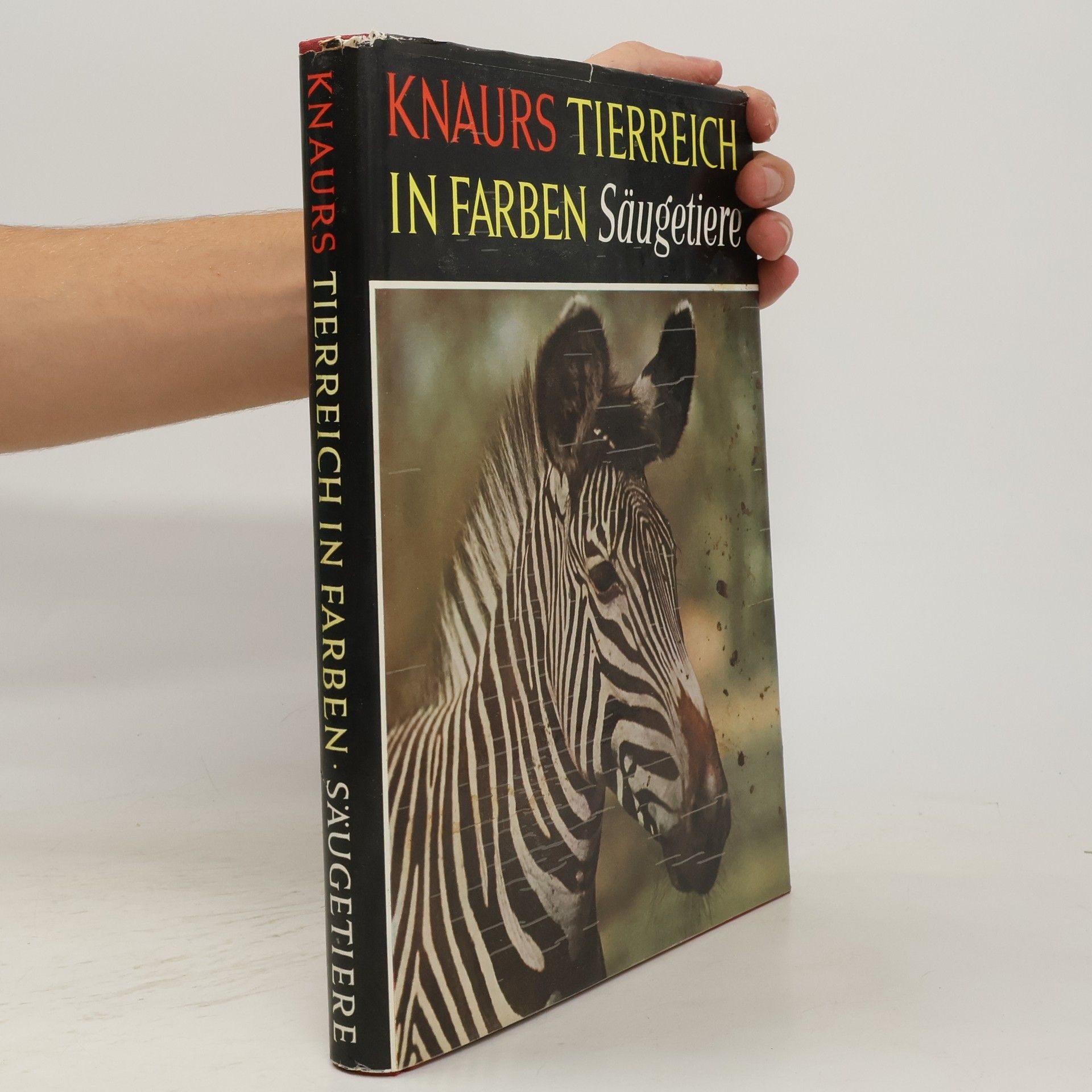 kolektiv Knaurs Tierreich in Farben - Saügetiere